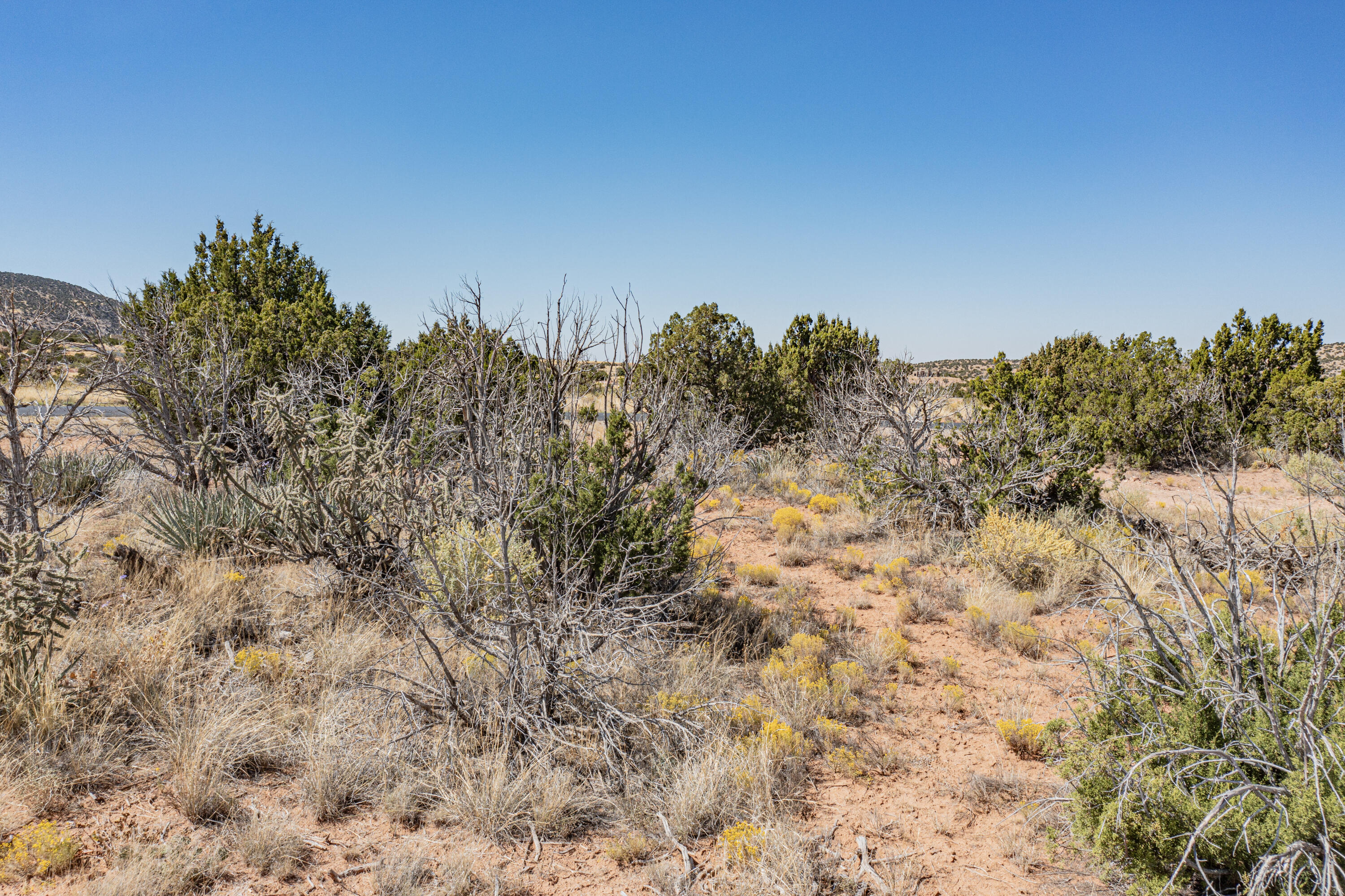 242 Moonlight Ridge Road, Placitas, New Mexico image 1