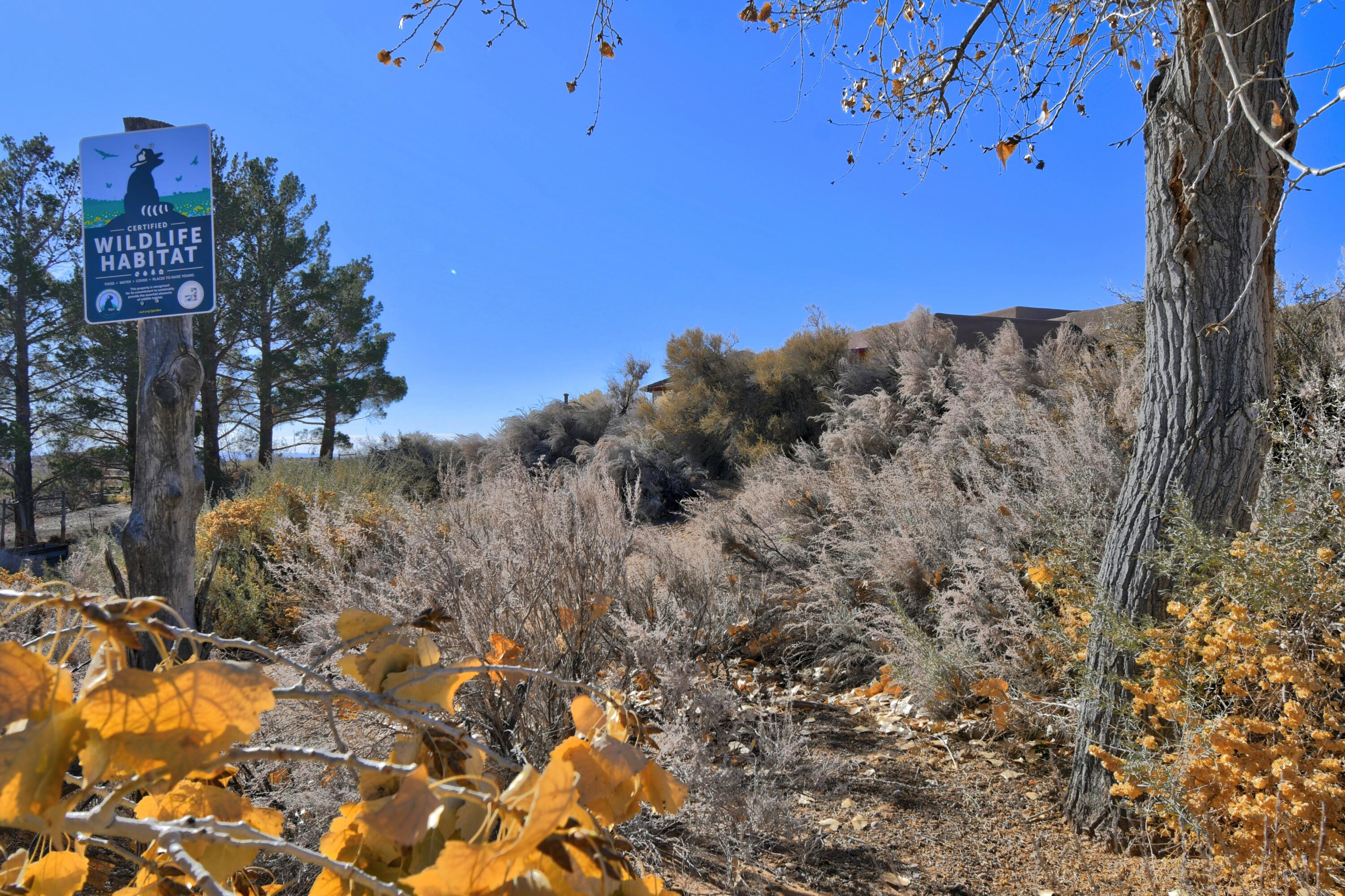 601 Reclining Acres Road, Corrales, New Mexico image 32