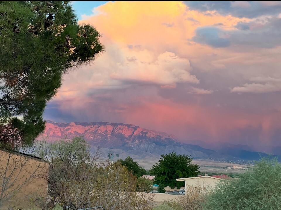 601 Reclining Acres Road, Corrales, New Mexico image 34