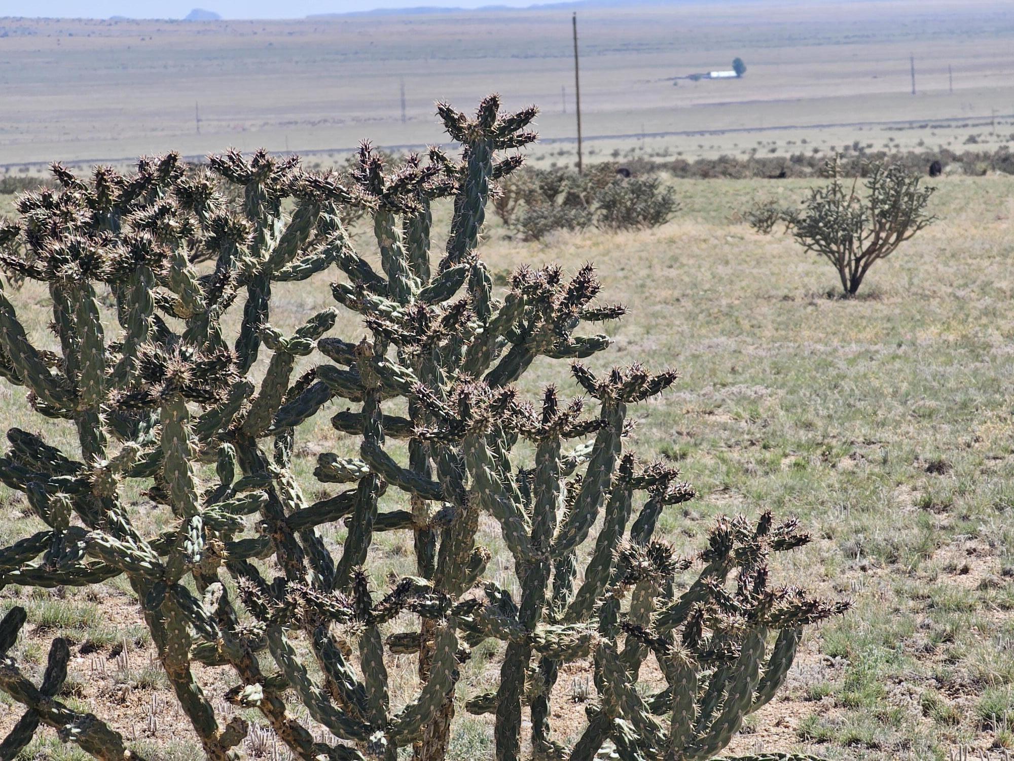 Vl 24 Tonada #23, Rio Communities, New Mexico image 8