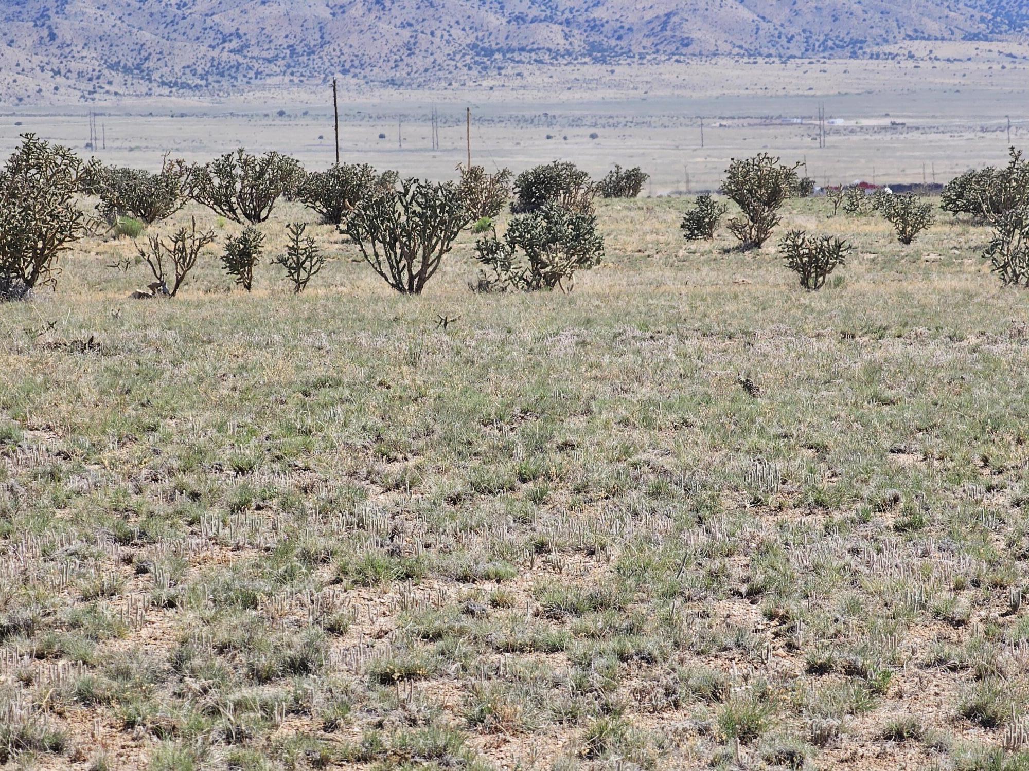 Vl 24 Tonada #23, Rio Communities, New Mexico image 9