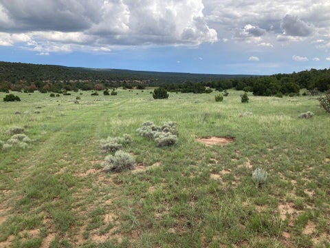 Vacant Land For Sale - S Highway 34<br/> Rowe, NM 87562