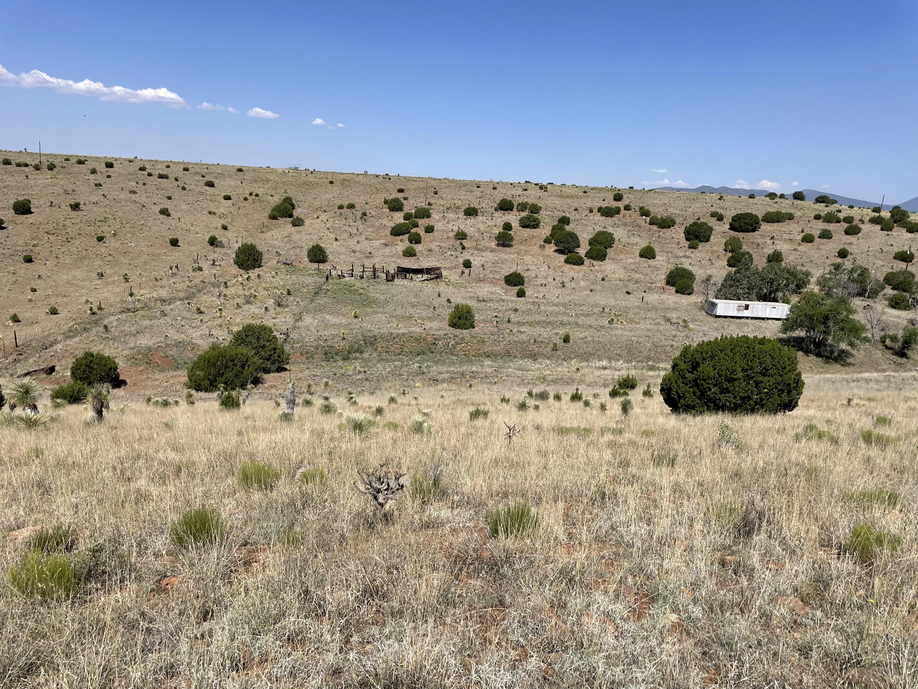 191 Kirkland Road, Silver City, New Mexico image 5