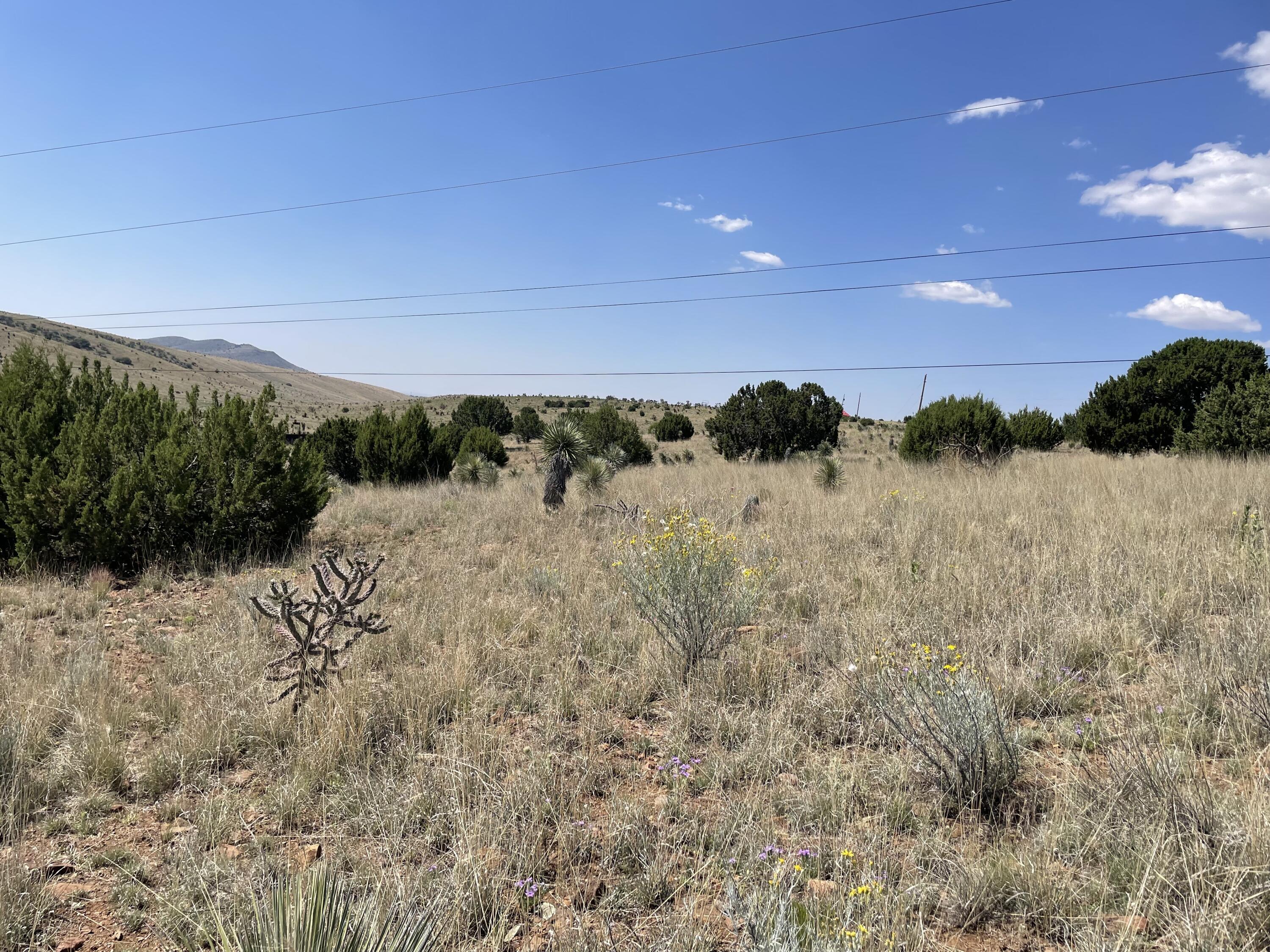 191 Kirkland Road, Silver City, New Mexico image 1