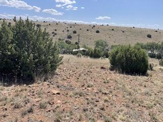 191 Kirkland Road, Silver City, New Mexico image 9