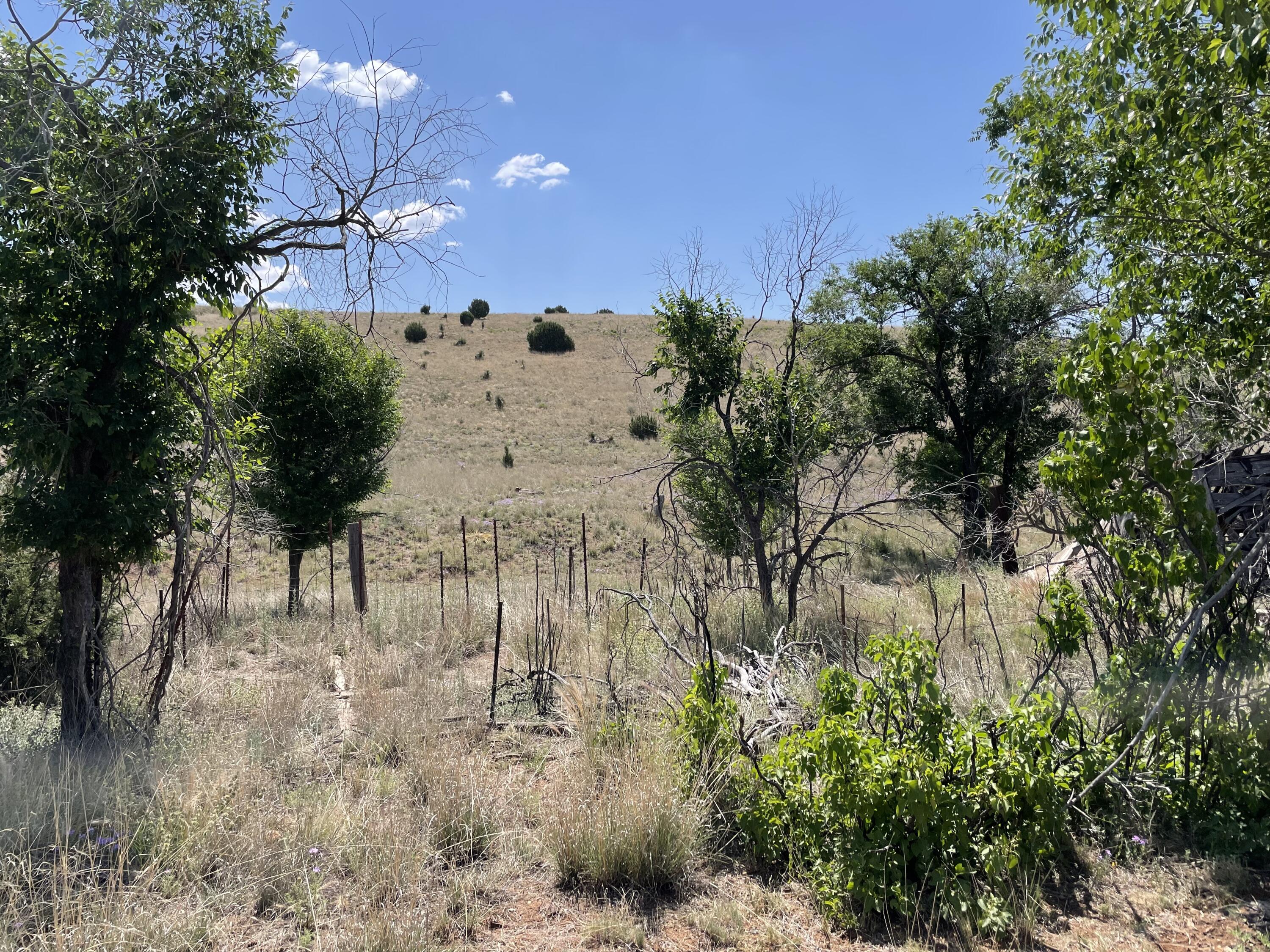 191 Kirkland Road, Silver City, New Mexico image 11