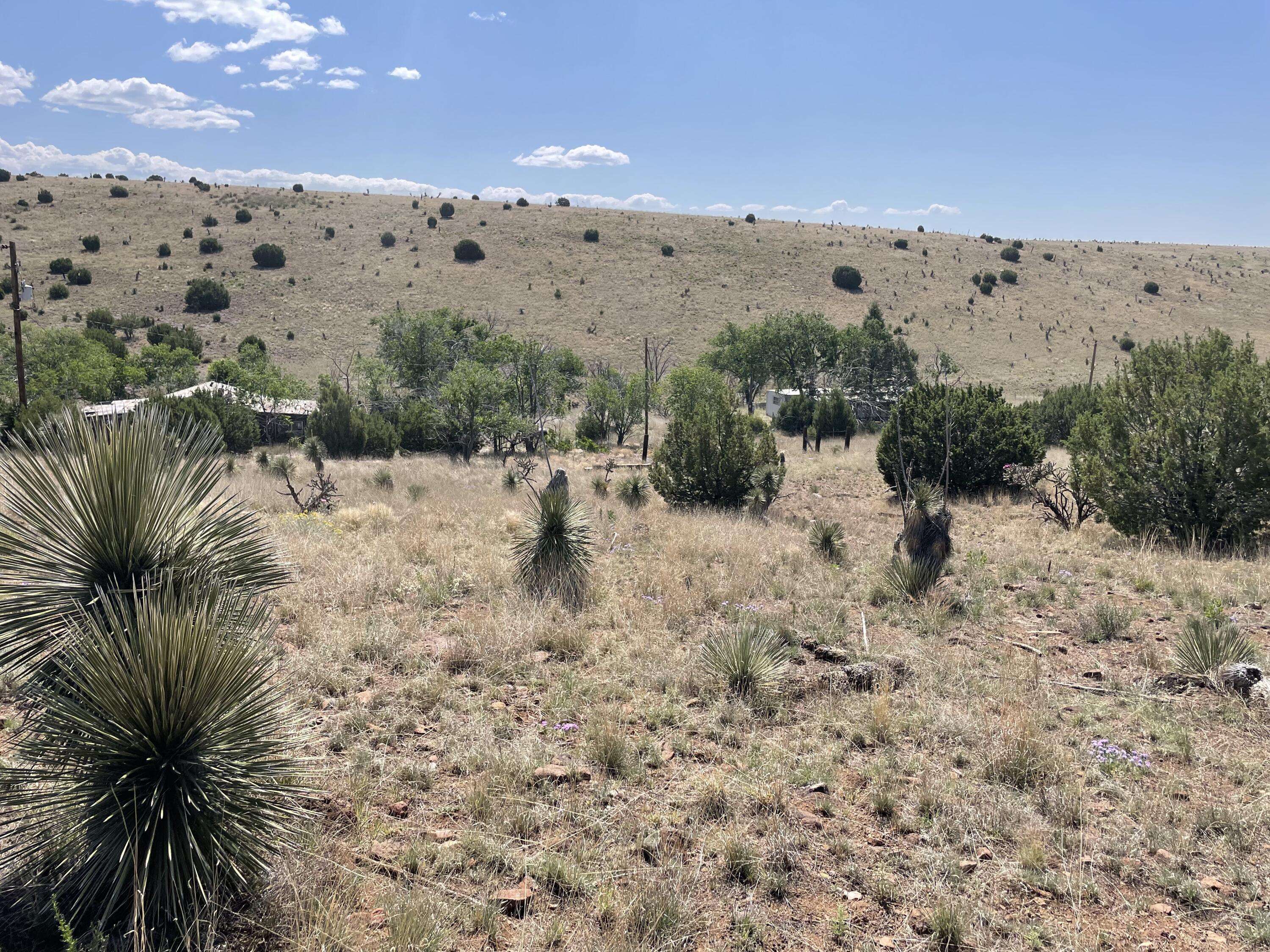 191 Kirkland Road, Silver City, New Mexico image 4