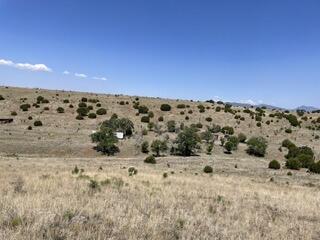 191 Kirkland Road, Silver City, New Mexico image 7