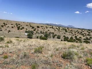 191 Kirkland Road, Silver City, New Mexico image 8