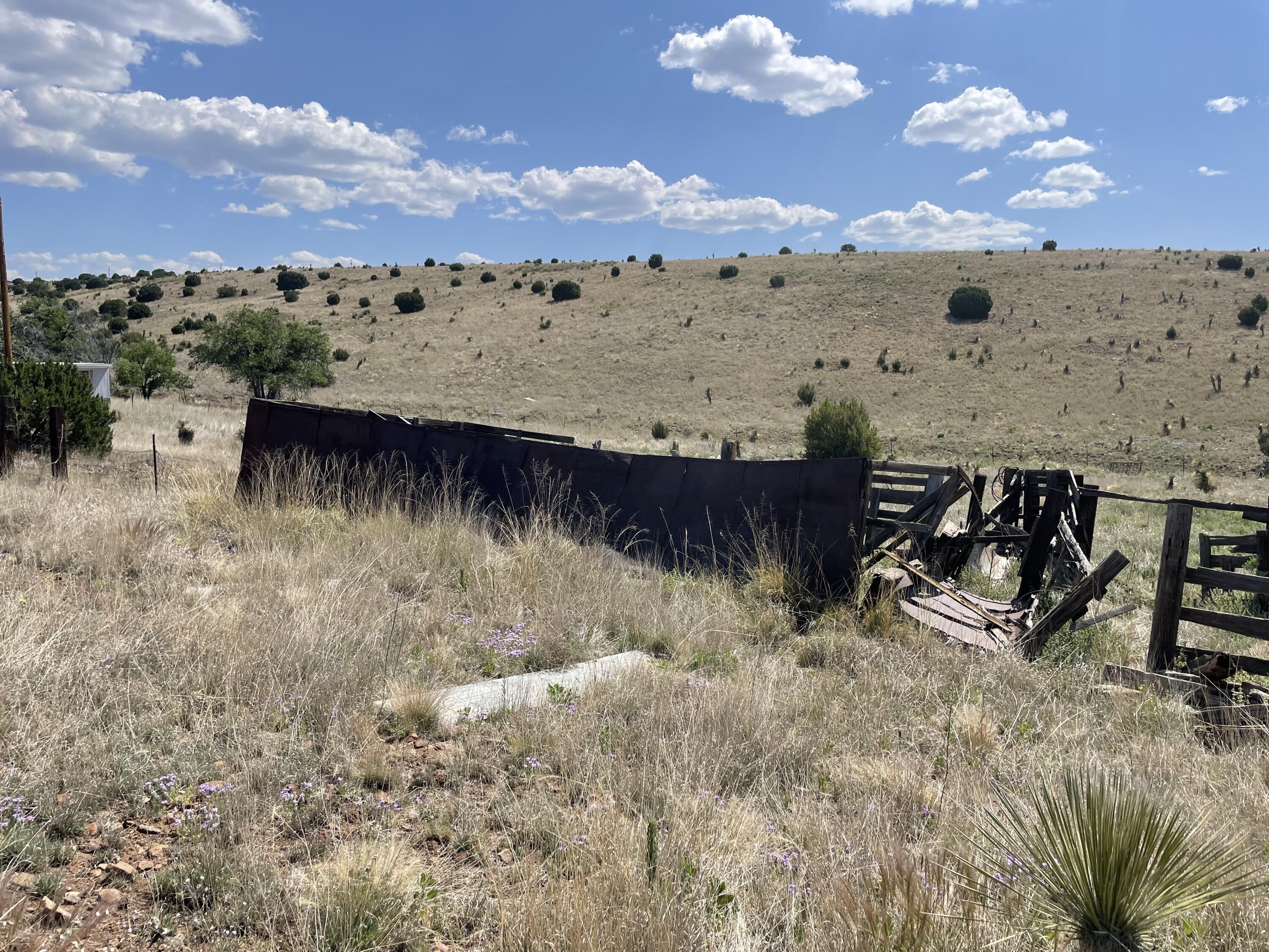 191 Kirkland Road, Silver City, New Mexico image 3