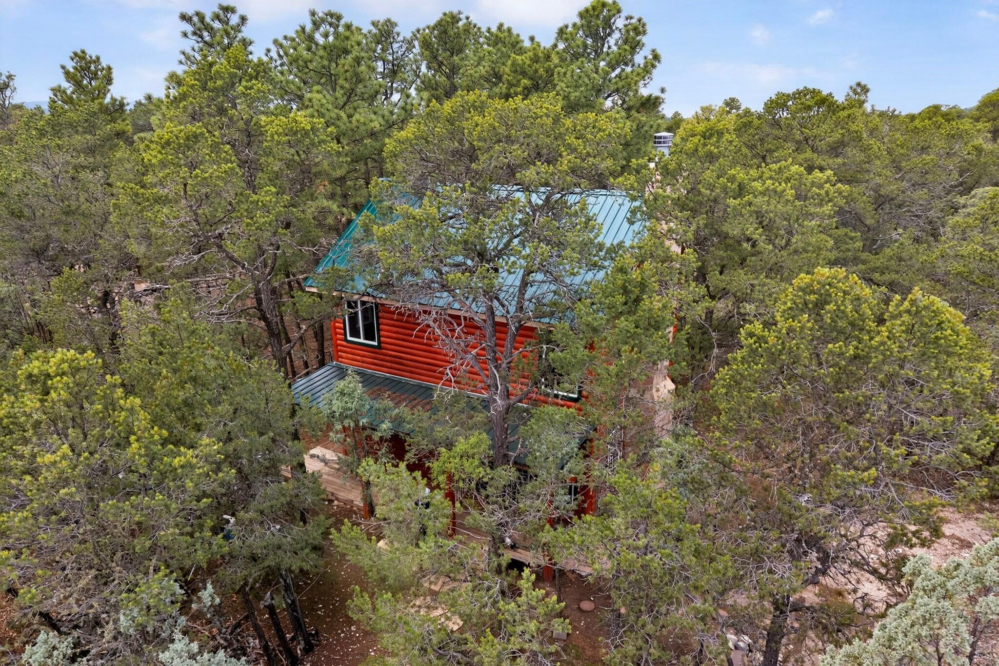 26 Roadrunner Road