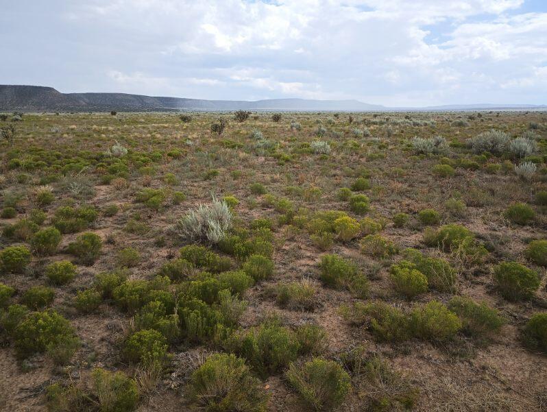 County Rd B 038, Willard, New Mexico image 4