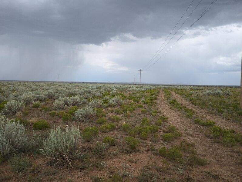 County Rd B 038, Willard, New Mexico image 2