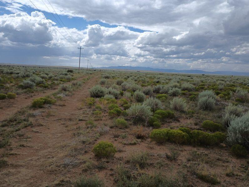 County Rd B 038, Willard, New Mexico image 3