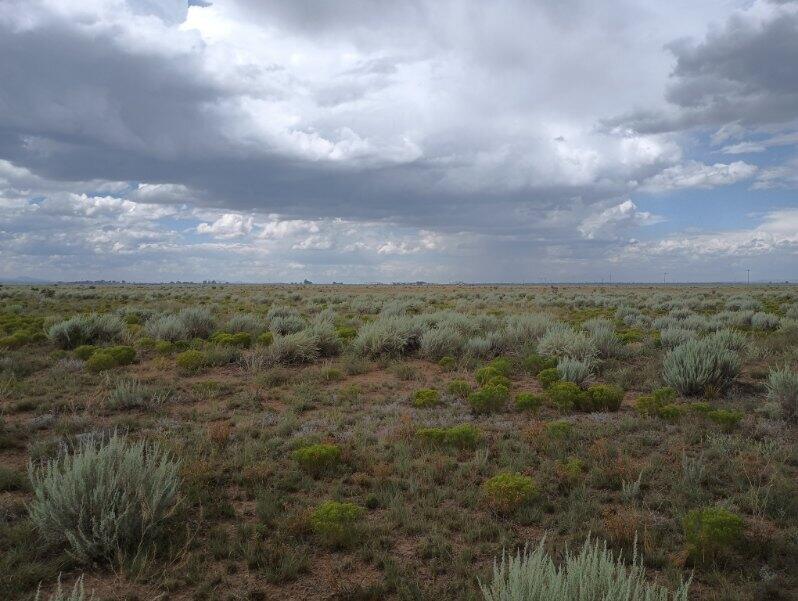 County Rd B 038, Willard, New Mexico image 5