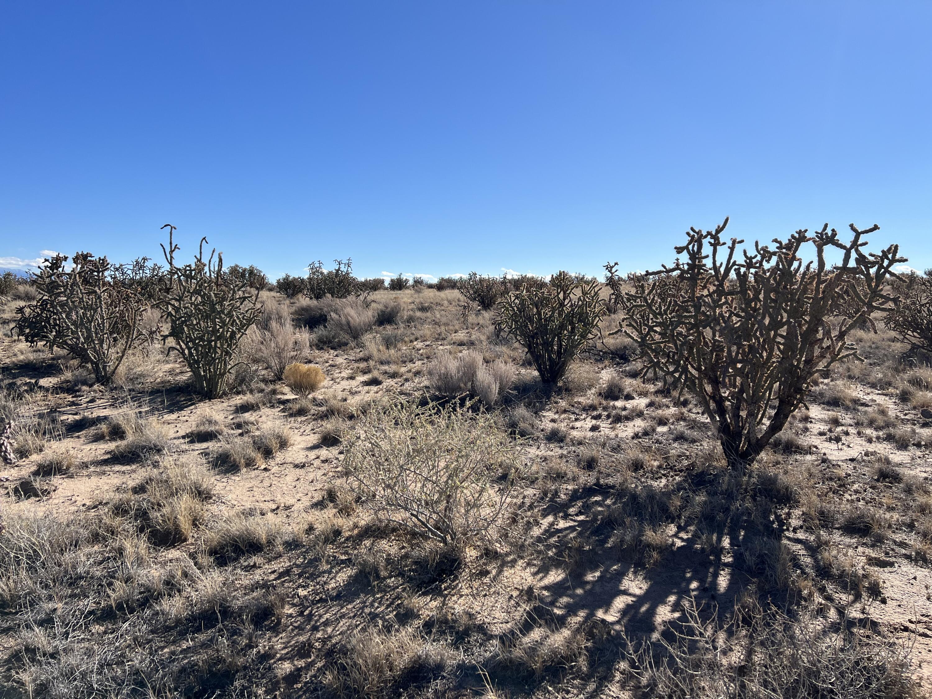 4600 Majesty Road NE