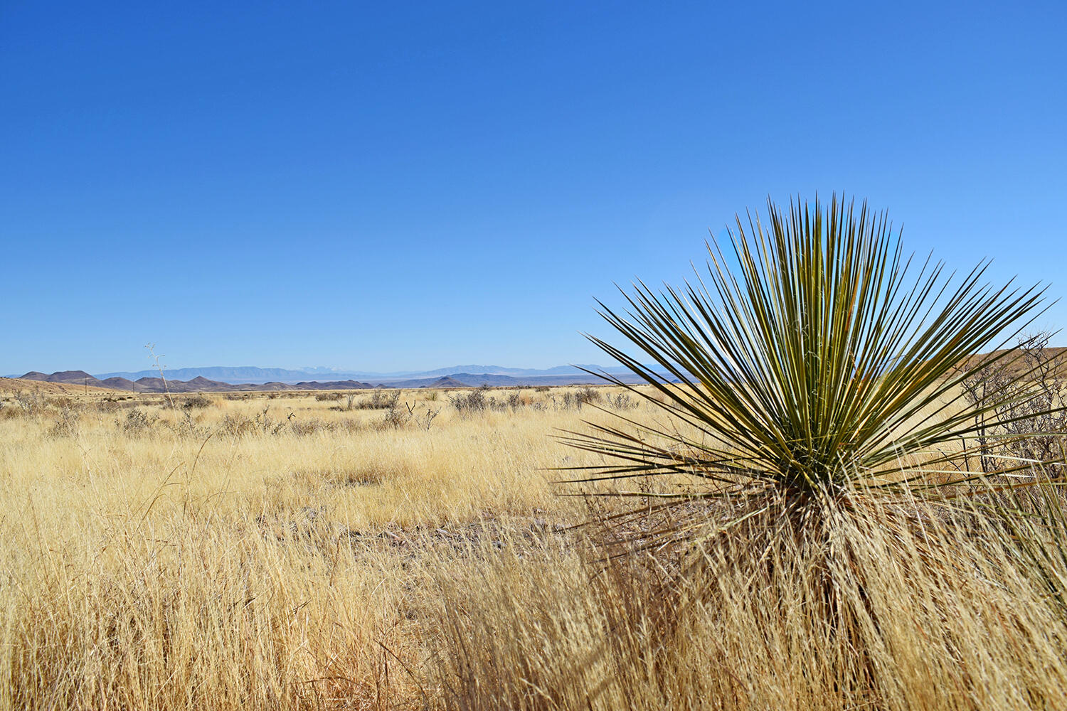 Lot 224 Double B Ranch Road, San Antonio, New Mexico image 27