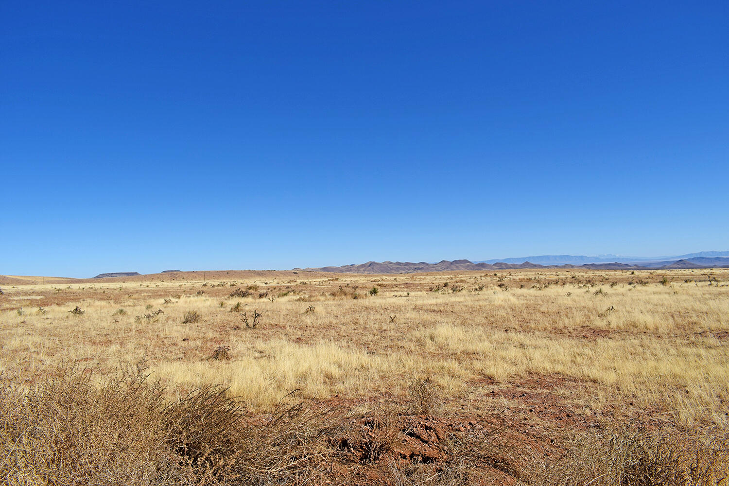 Lot 224 Double B Ranch Road, San Antonio, New Mexico image 46