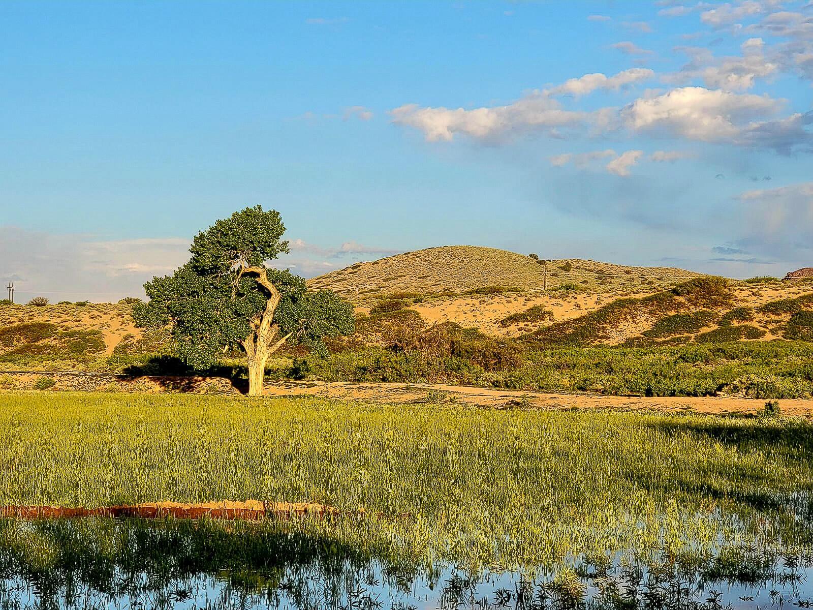 Sevilleta Elk Hills Ranch, San Acacia, New Mexico image 1