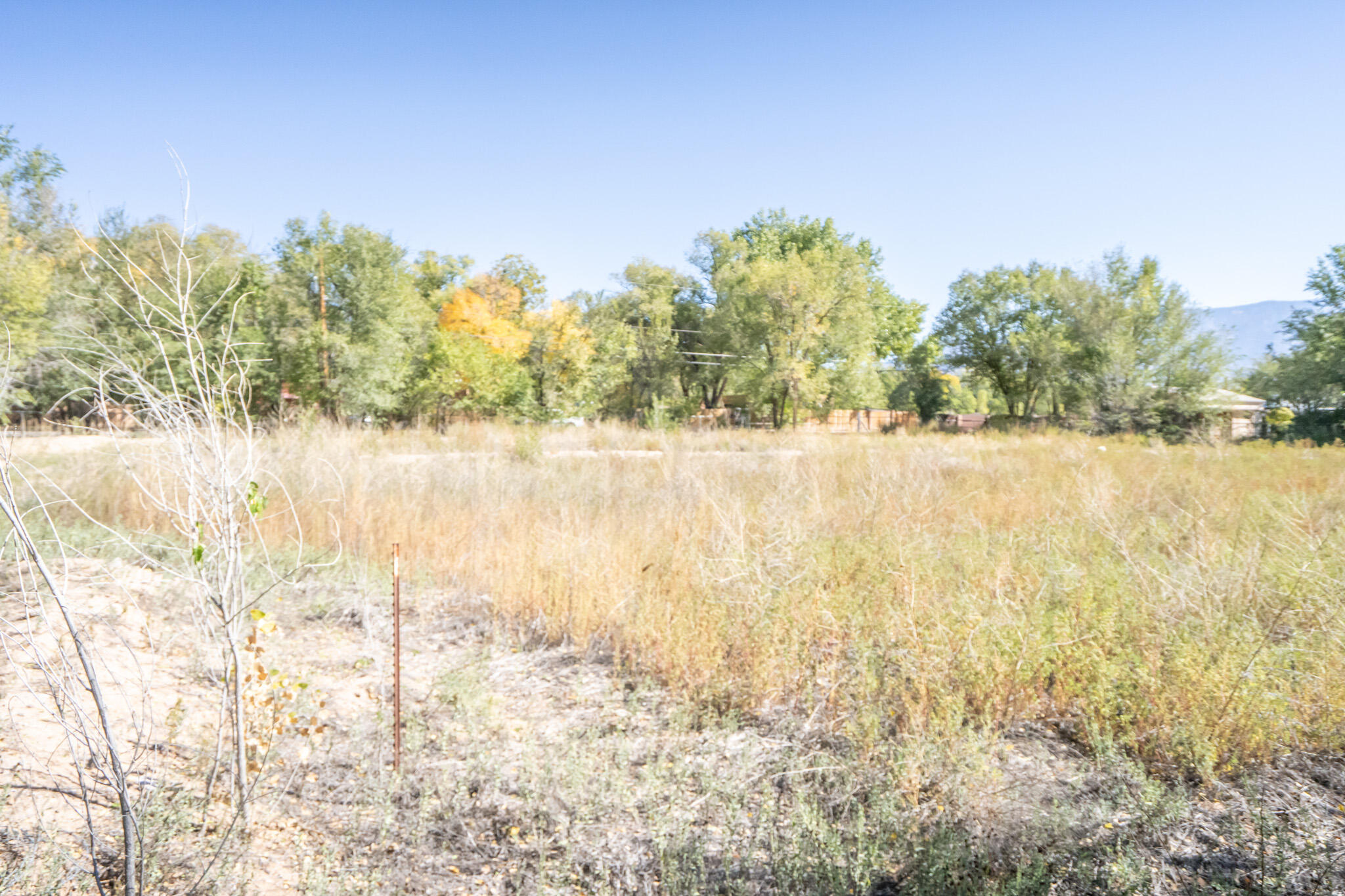 W Meadowlark Lane, Corrales, New Mexico image 31