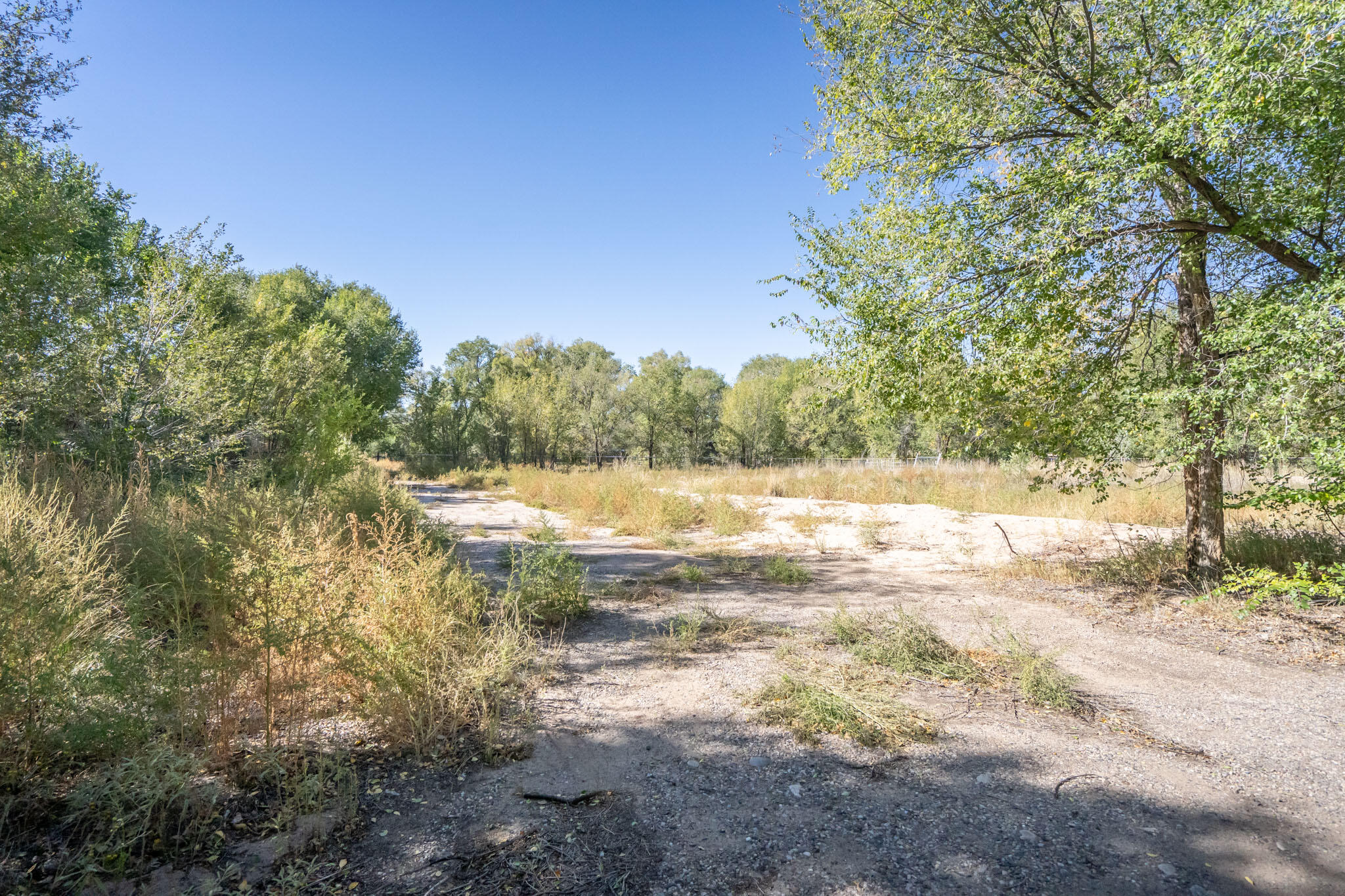 W Meadowlark Lane, Corrales, New Mexico image 23