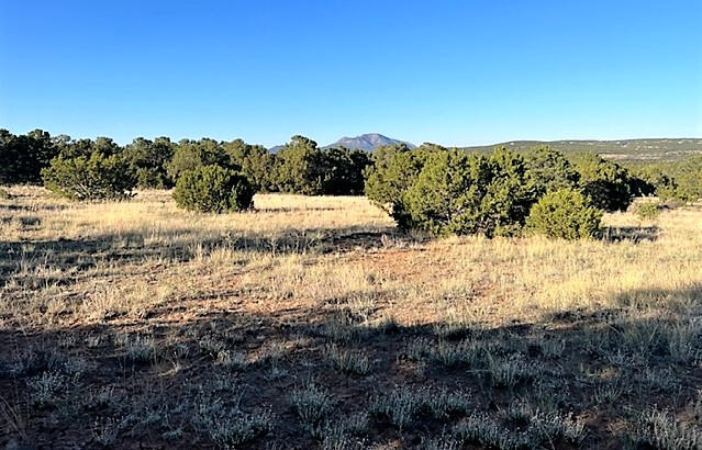 Photo 7 of 24 of 18 Thunder Hawk land