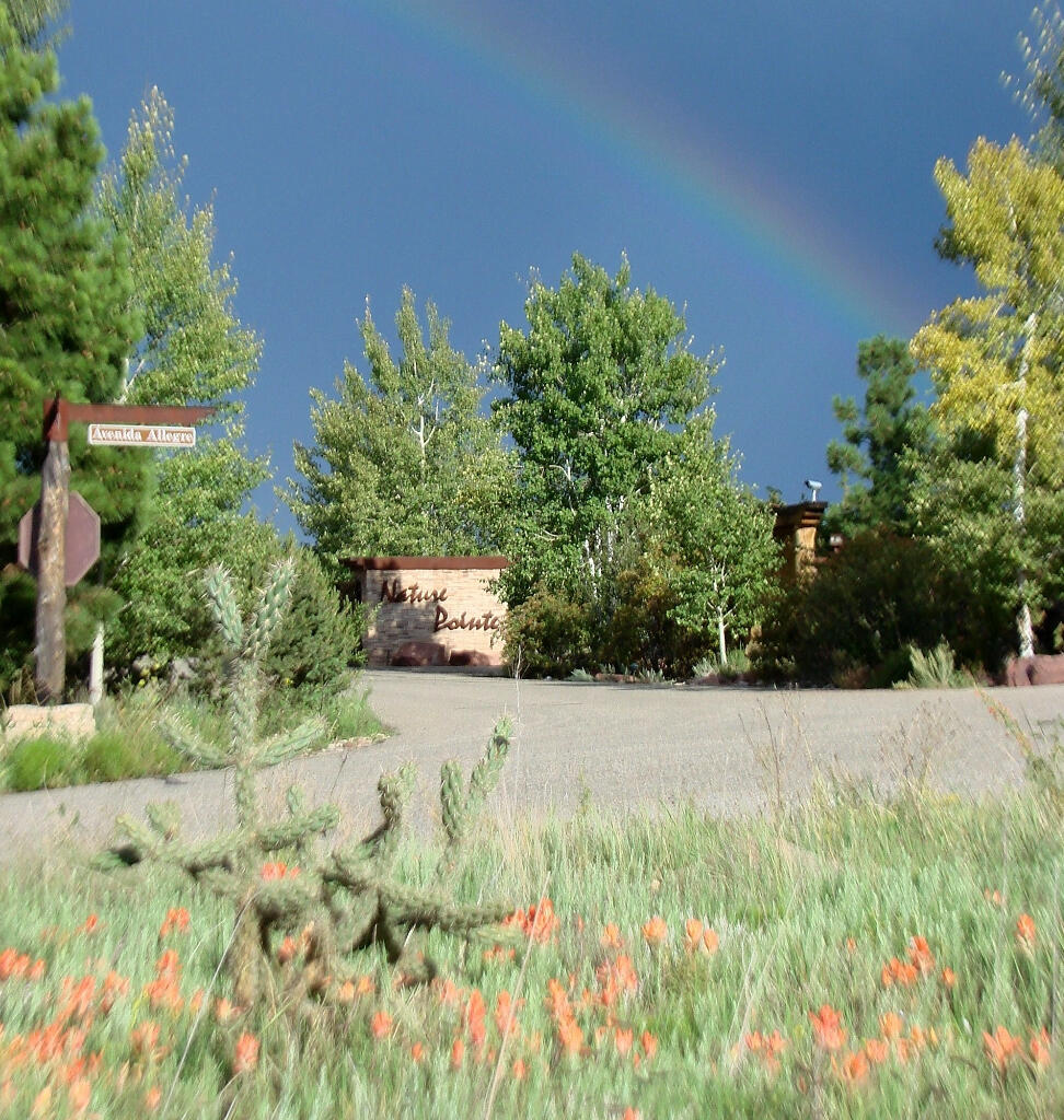 View Tijeras, NM 87059 property