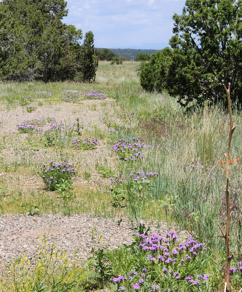 Photo 4 of 24 of 18 Thunder Hawk land