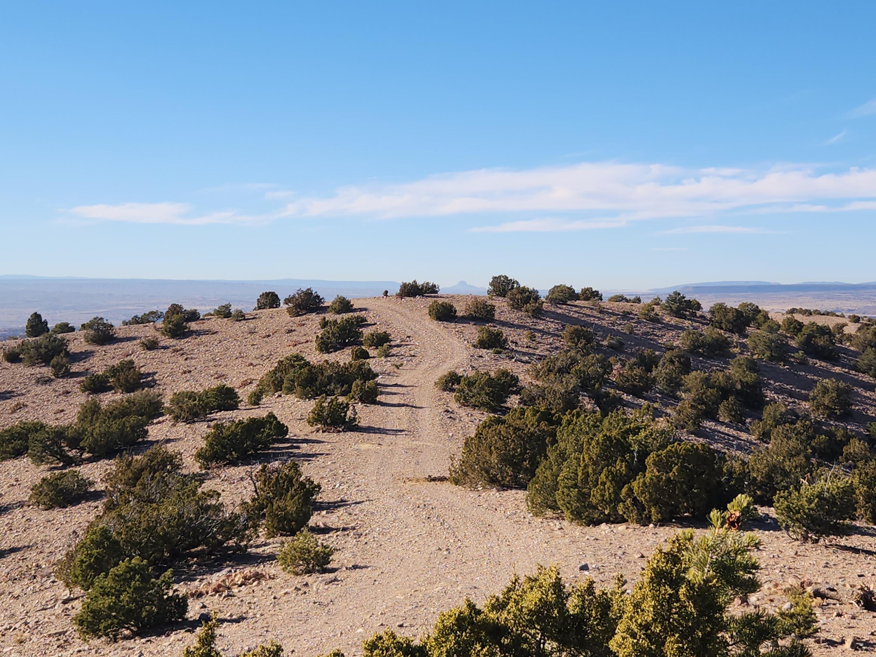 Near Camino Halcon, Placitas, New Mexico image 19