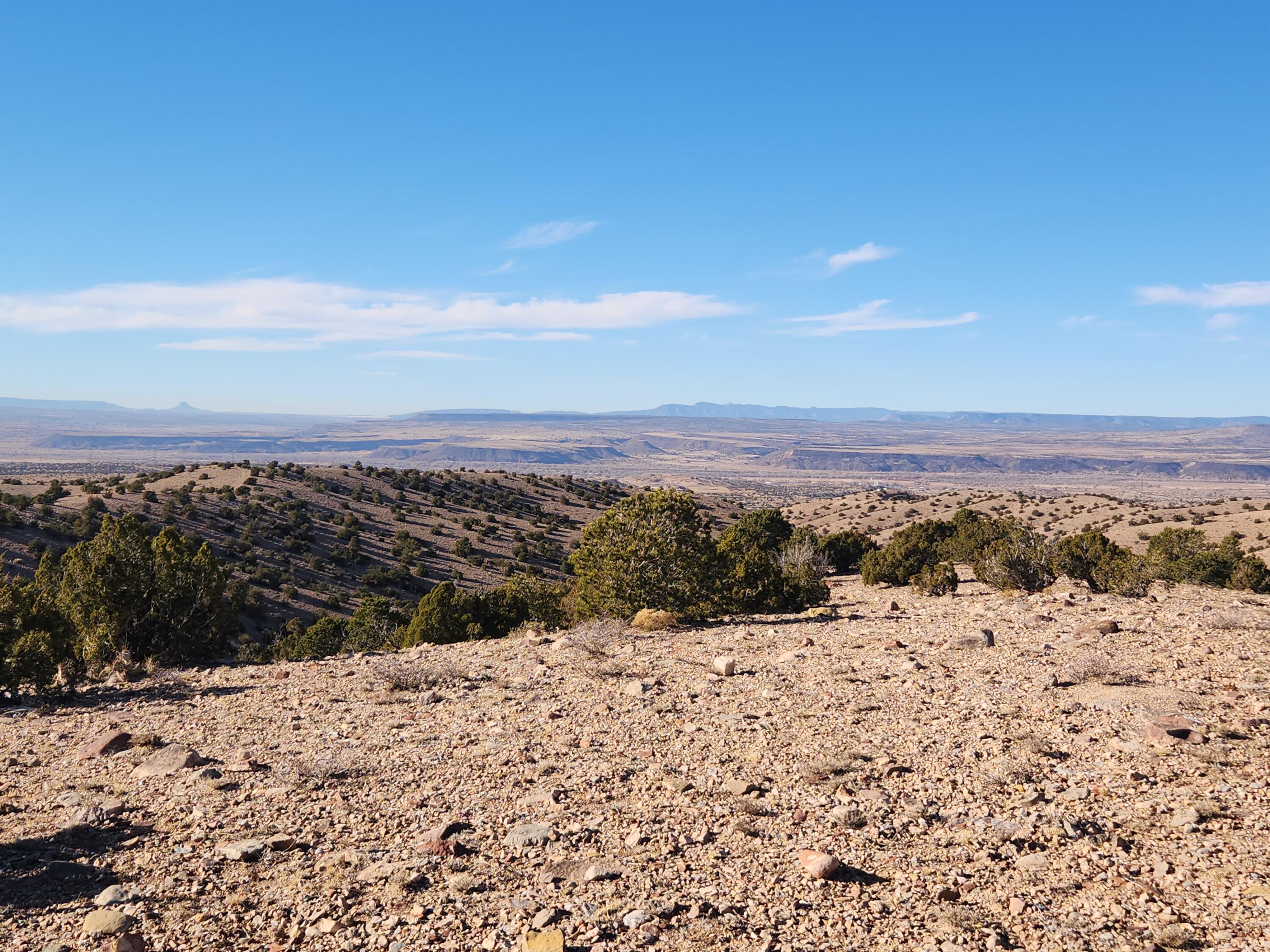 Near Camino Halcon, Placitas, New Mexico image 8