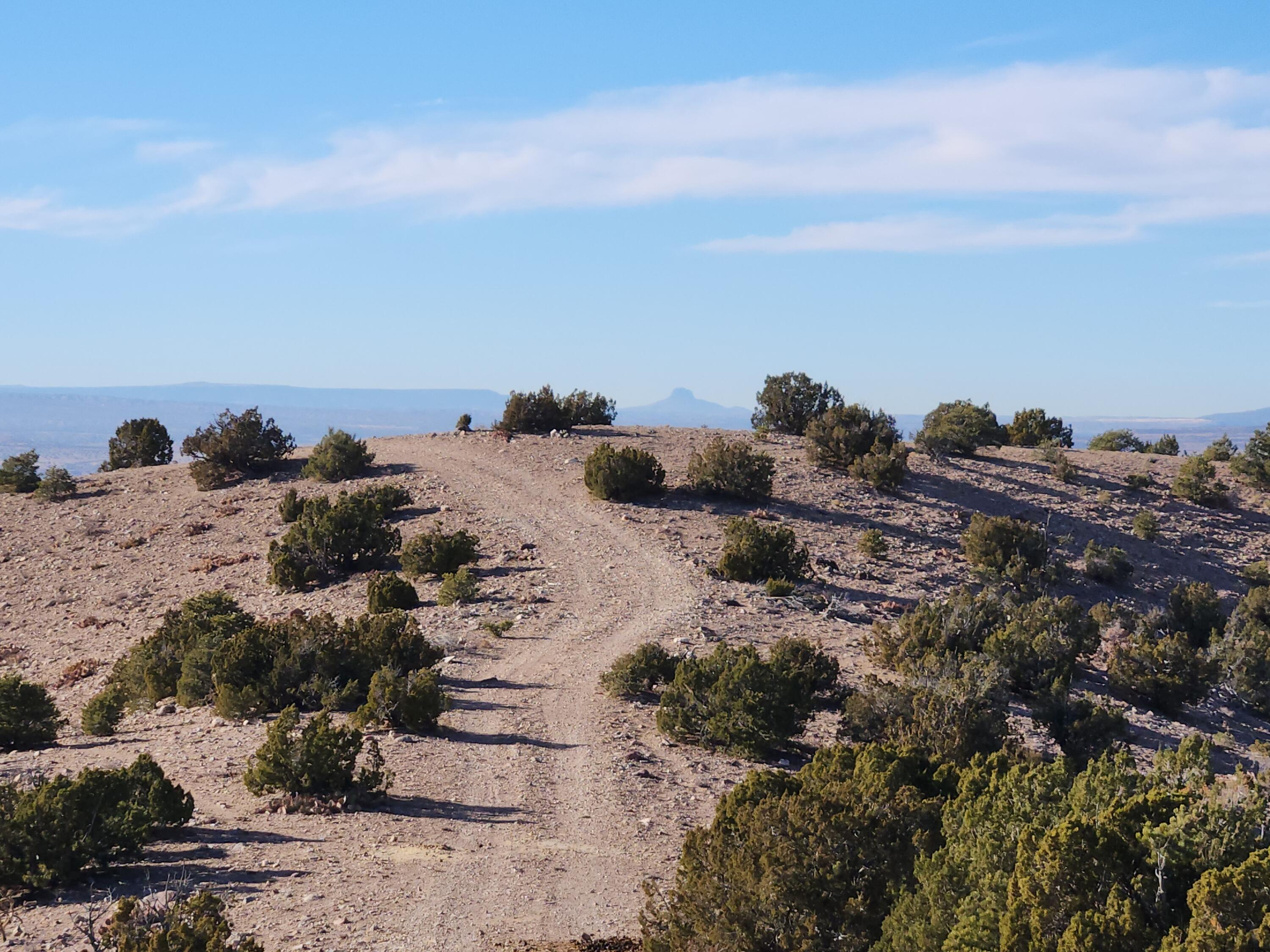 Near Camino Halcon, Placitas, New Mexico image 20