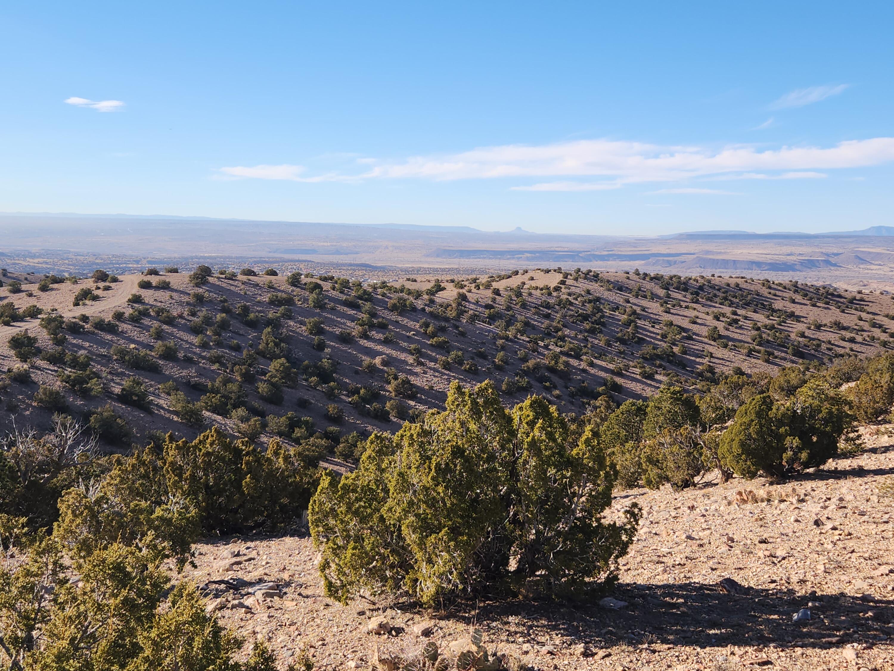 Near Camino Halcon, Placitas, New Mexico image 14