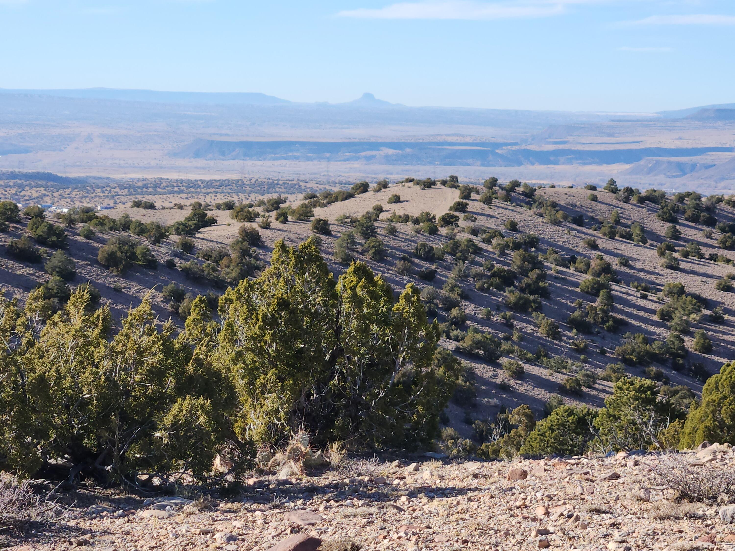 Near Camino Halcon, Placitas, New Mexico image 10