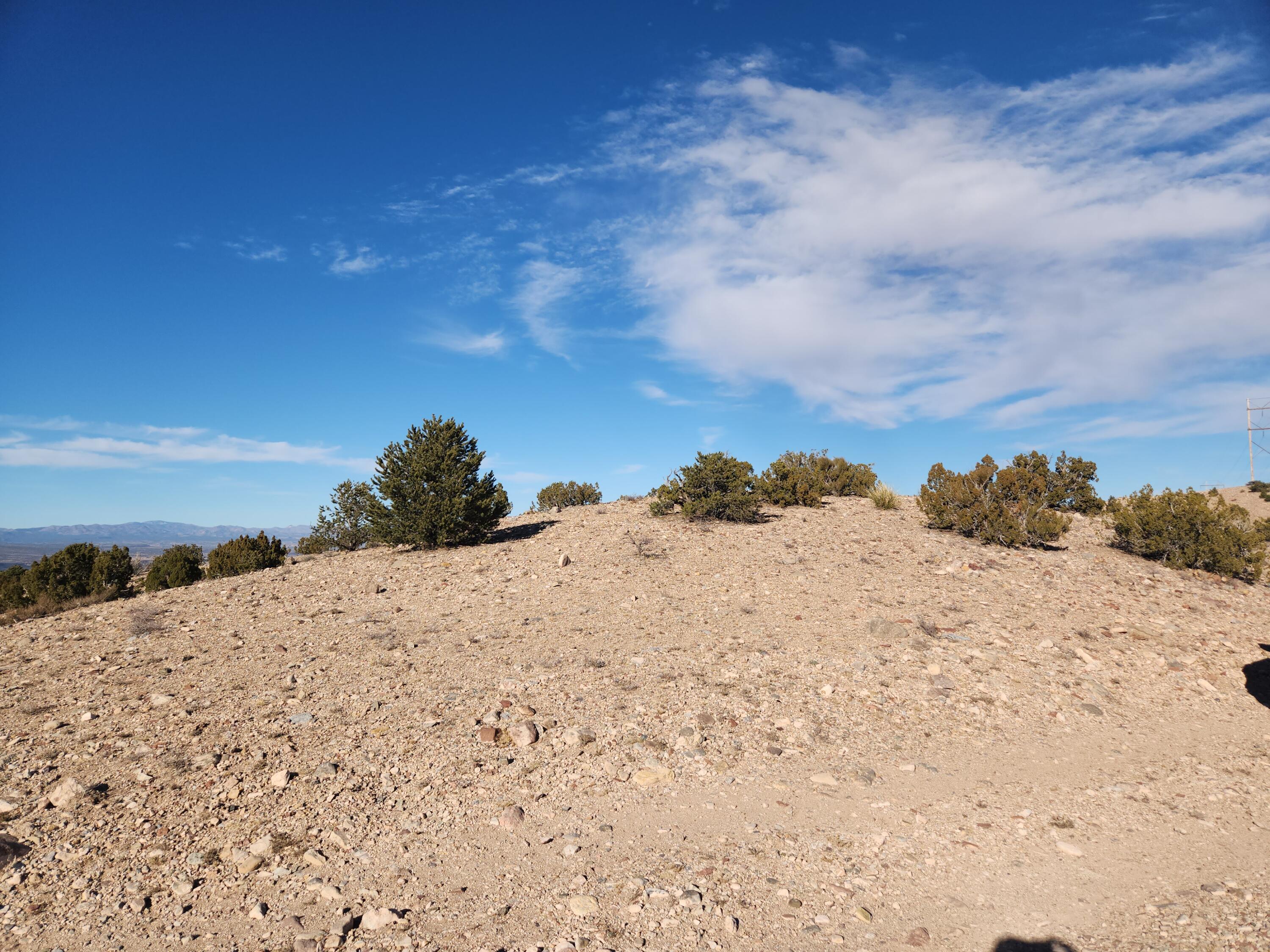 Near Camino Halcon, Placitas, New Mexico image 12