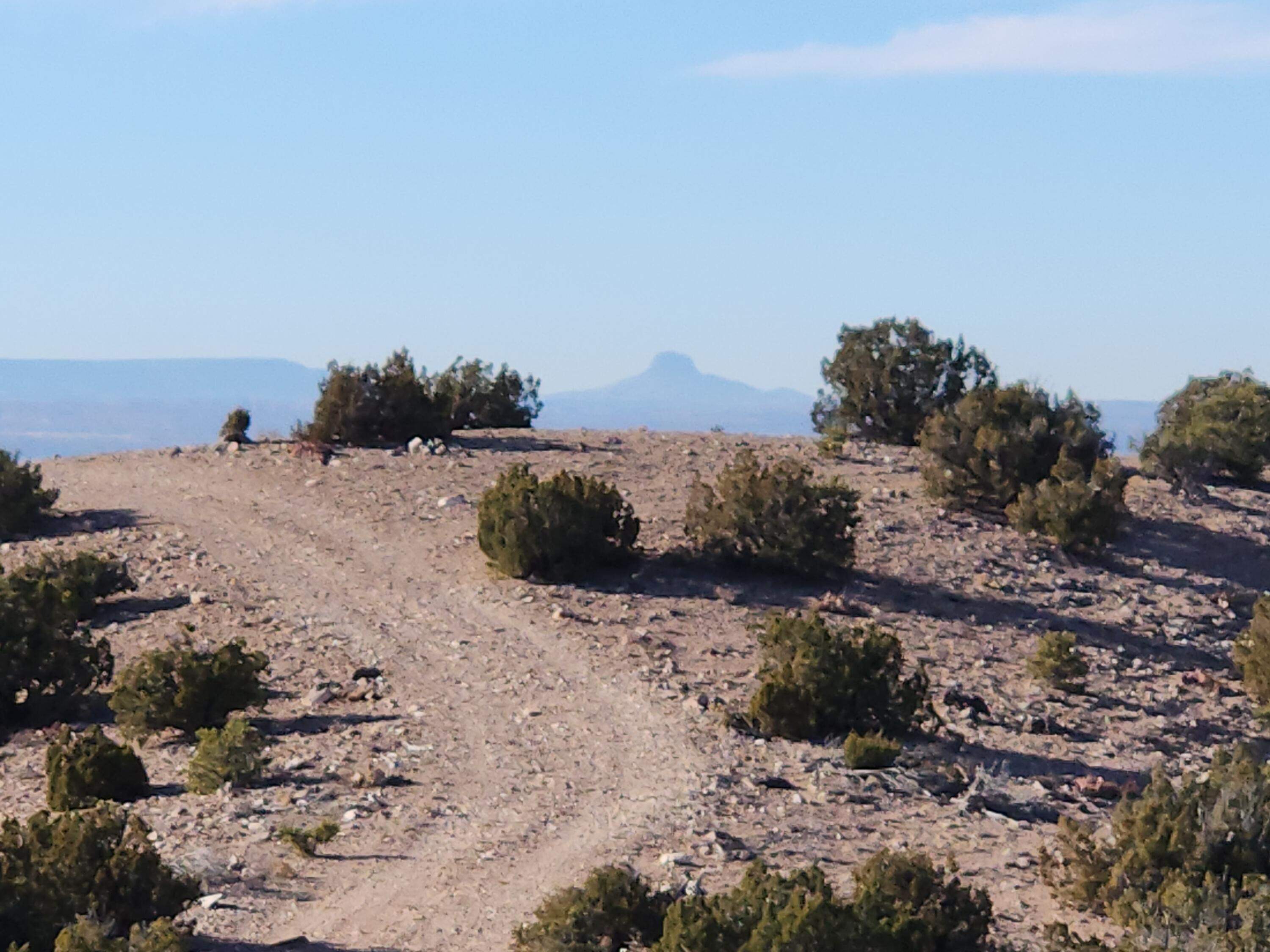 Near Camino Halcon, Placitas, New Mexico image 21