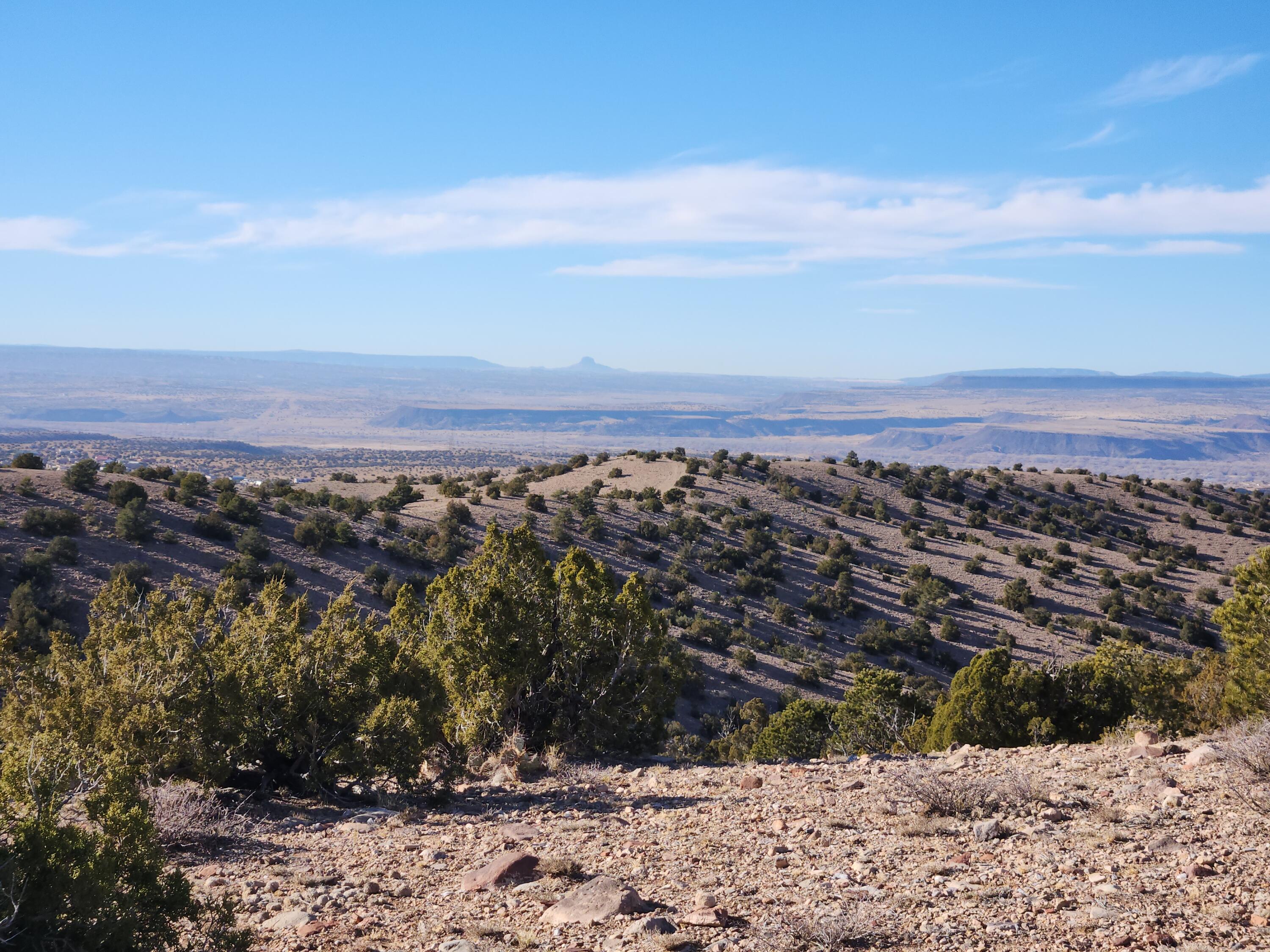 Near Camino Halcon, Placitas, New Mexico image 9