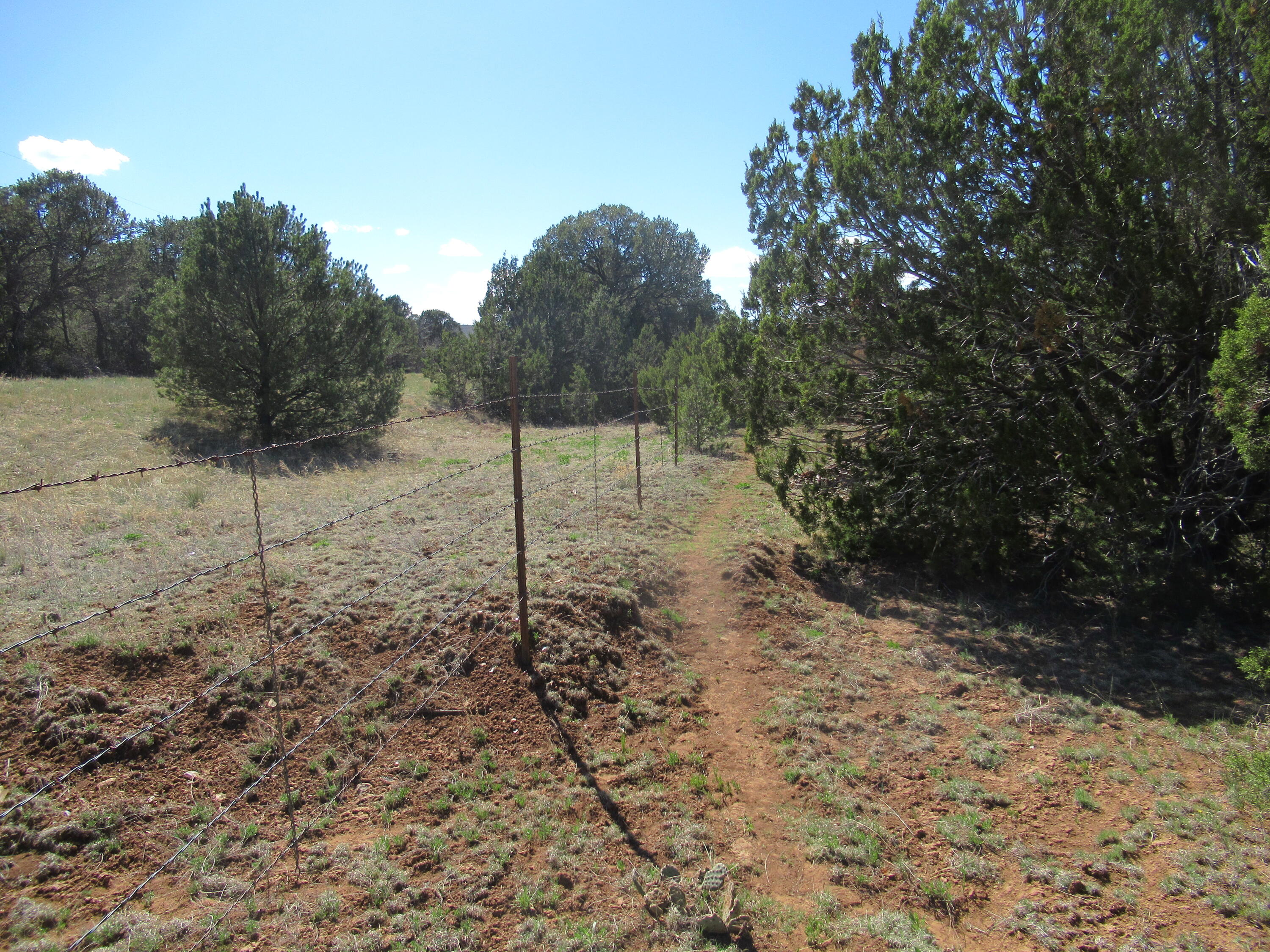 240 Jesse James Road, Tijeras, New Mexico image 31