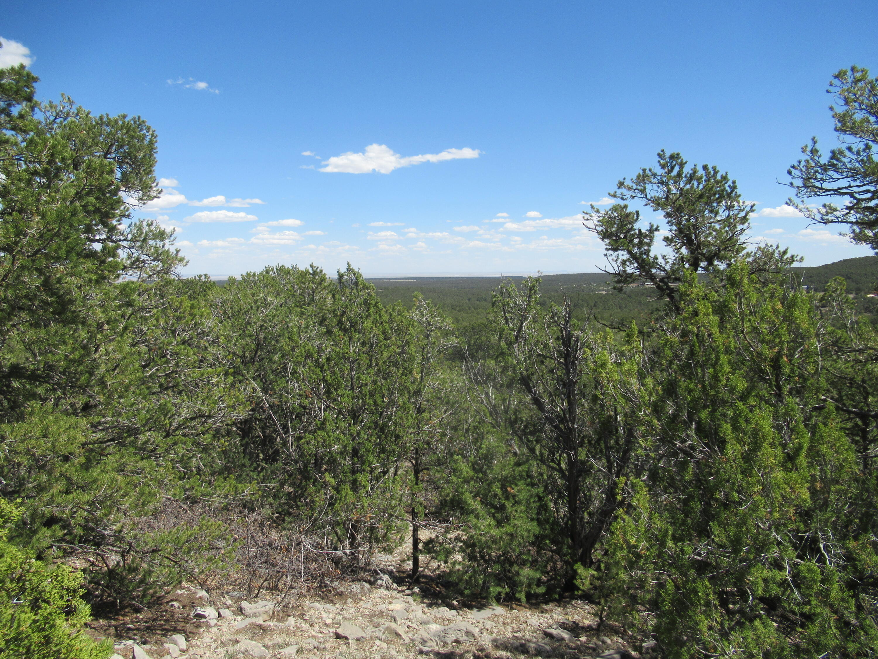 240 Jesse James Road, Tijeras, New Mexico image 35