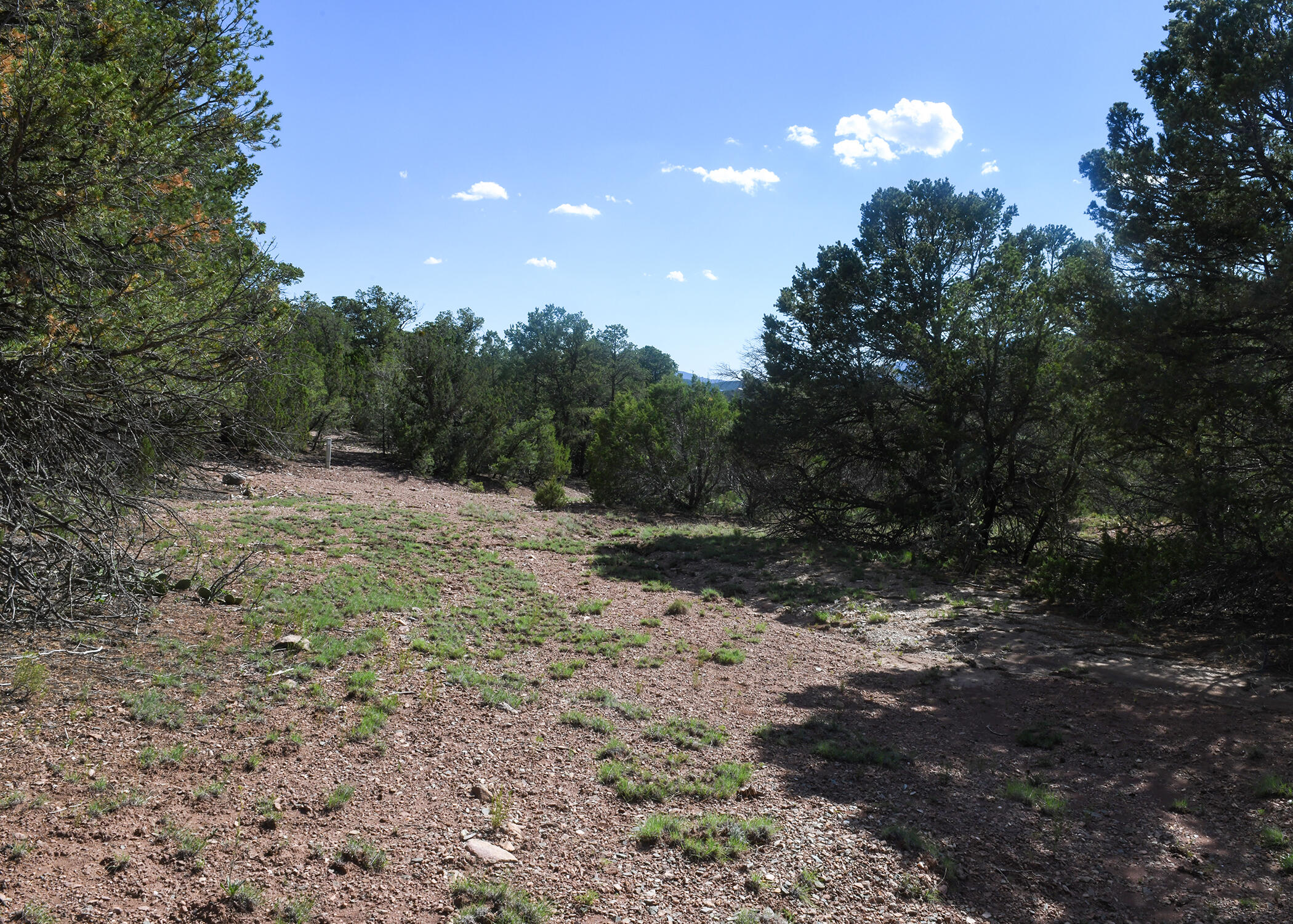 Magic Valley Rd, Sandia Park, New Mexico image 15