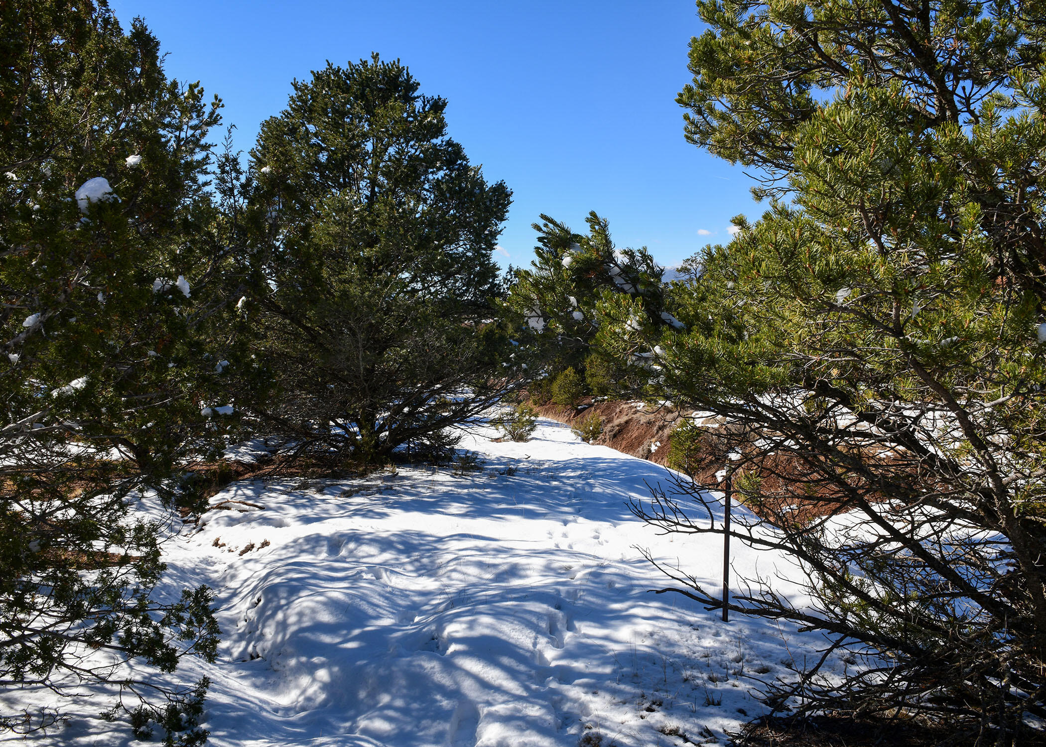 Magic Valley Rd, Sandia Park, New Mexico image 8