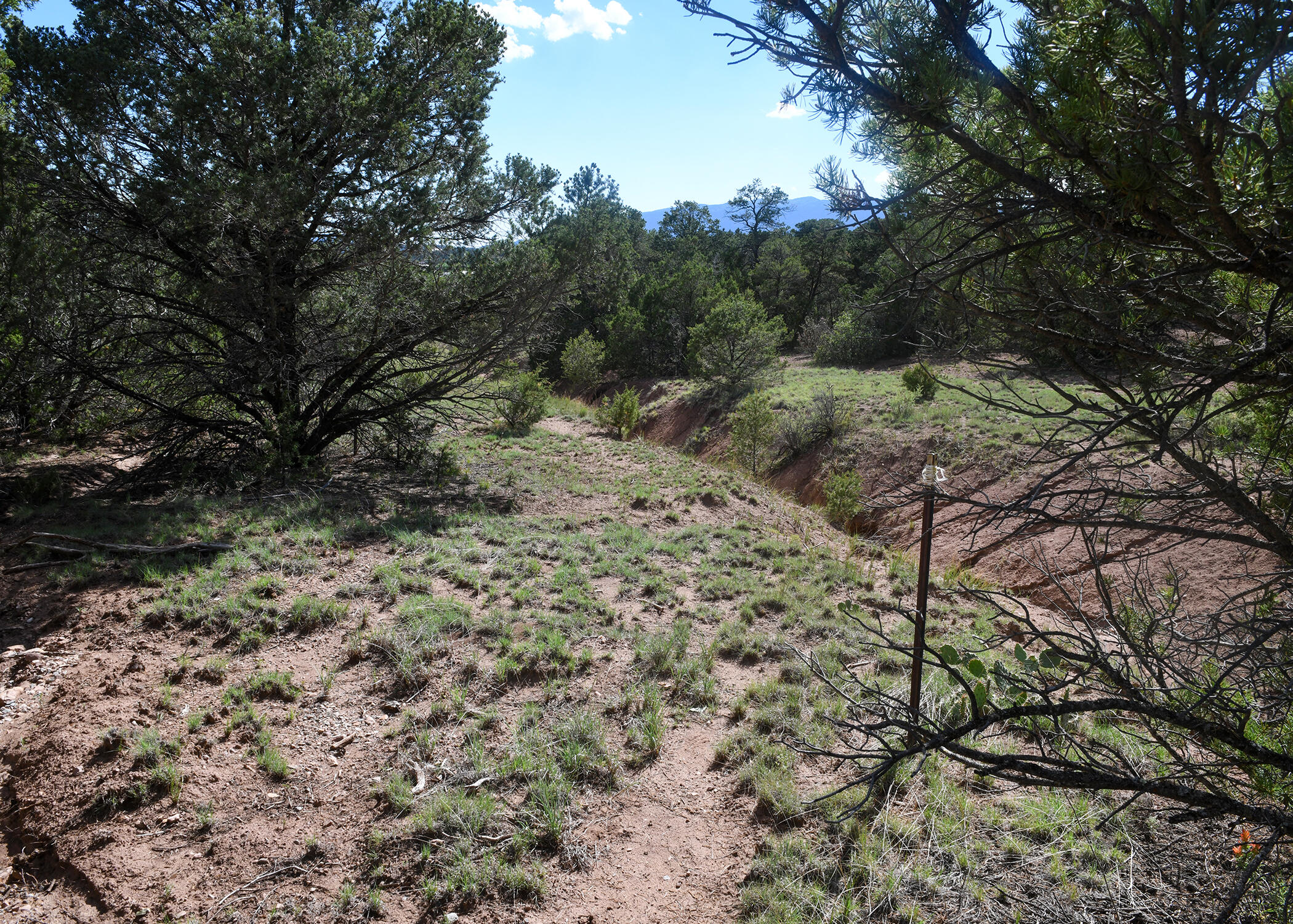 Magic Valley Rd, Sandia Park, New Mexico image 16