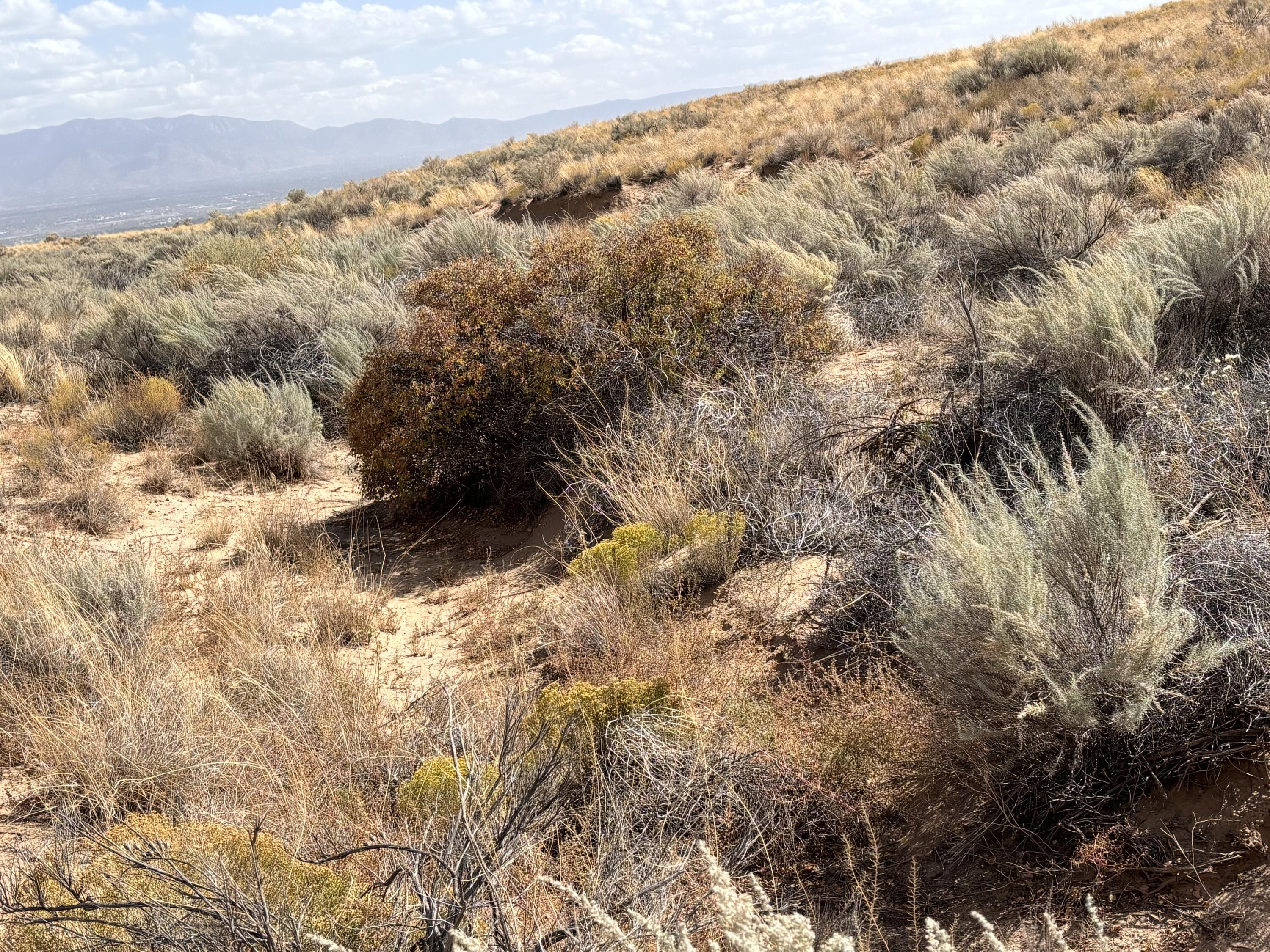 TR 7 Volcano Cliffs Unit 9 #9, Albuquerque, New Mexico image 3