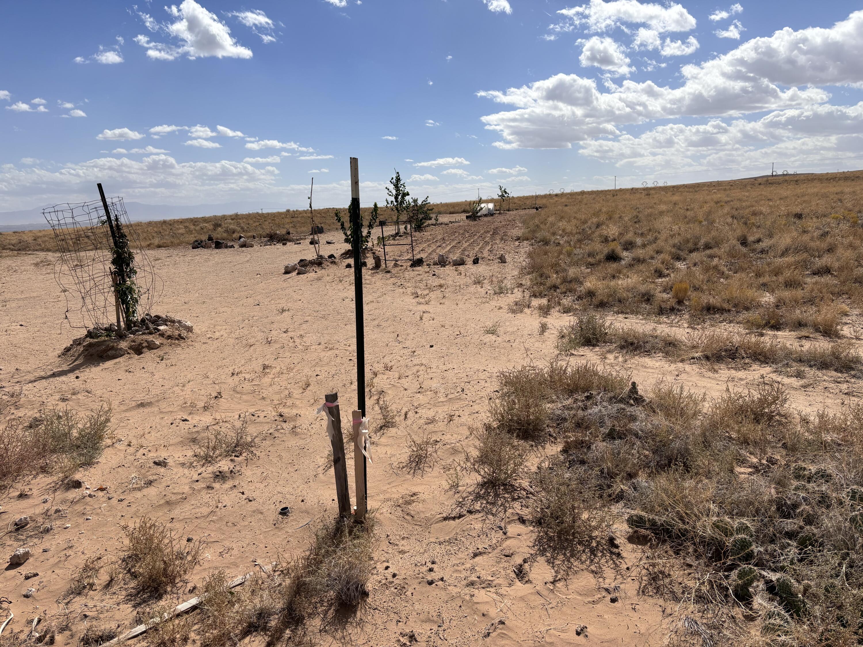 TR 7 Volcano Cliffs Unit 9 #9, Albuquerque, New Mexico image 9