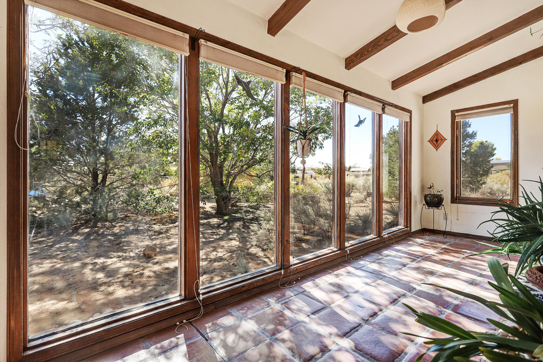 326 Angel Road, Corrales, New Mexico image 4