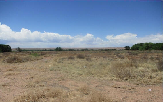 Calle De Las Plactias, Socorro, New Mexico image 3