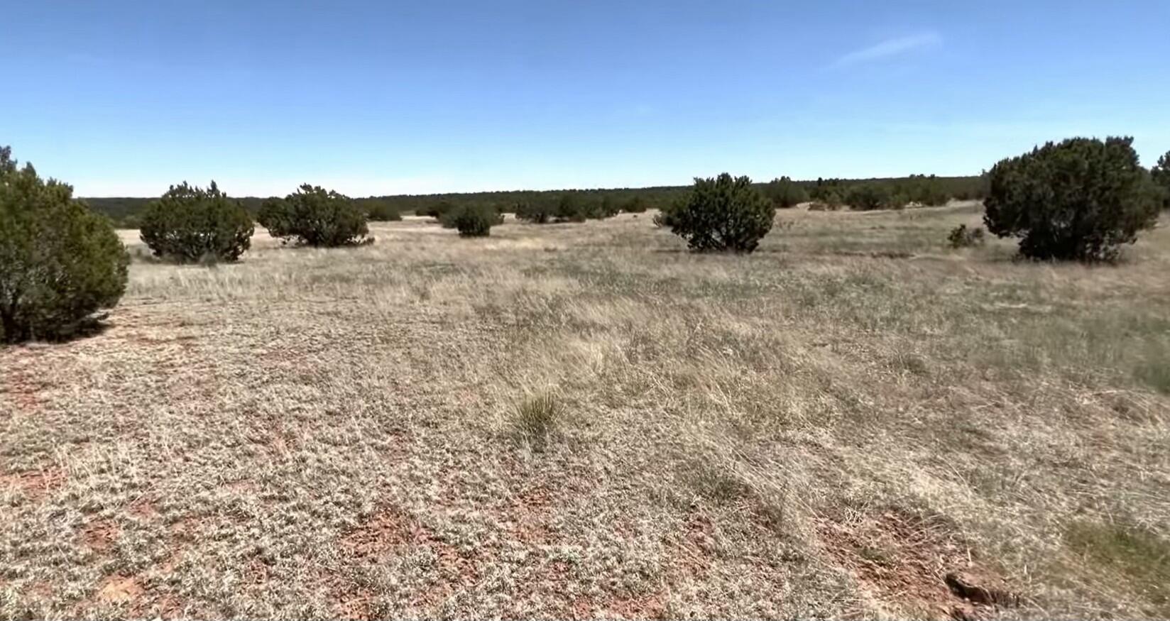 230 Mora Road, Tijeras, New Mexico image 8