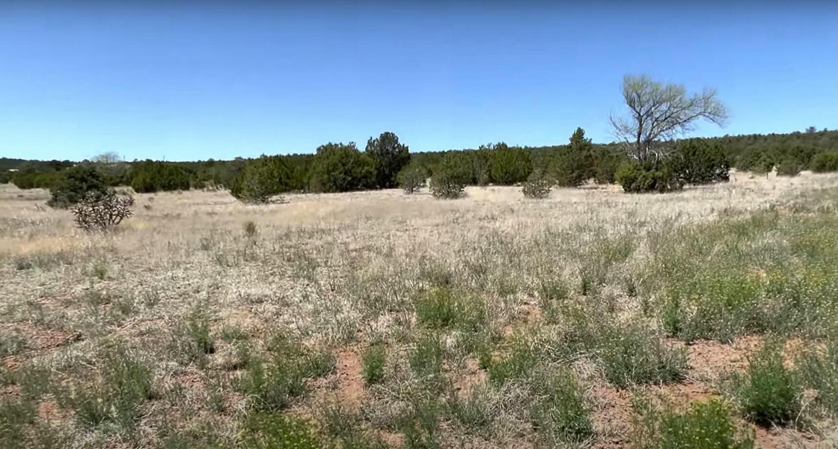 230 Mora Road, Tijeras, New Mexico image 9