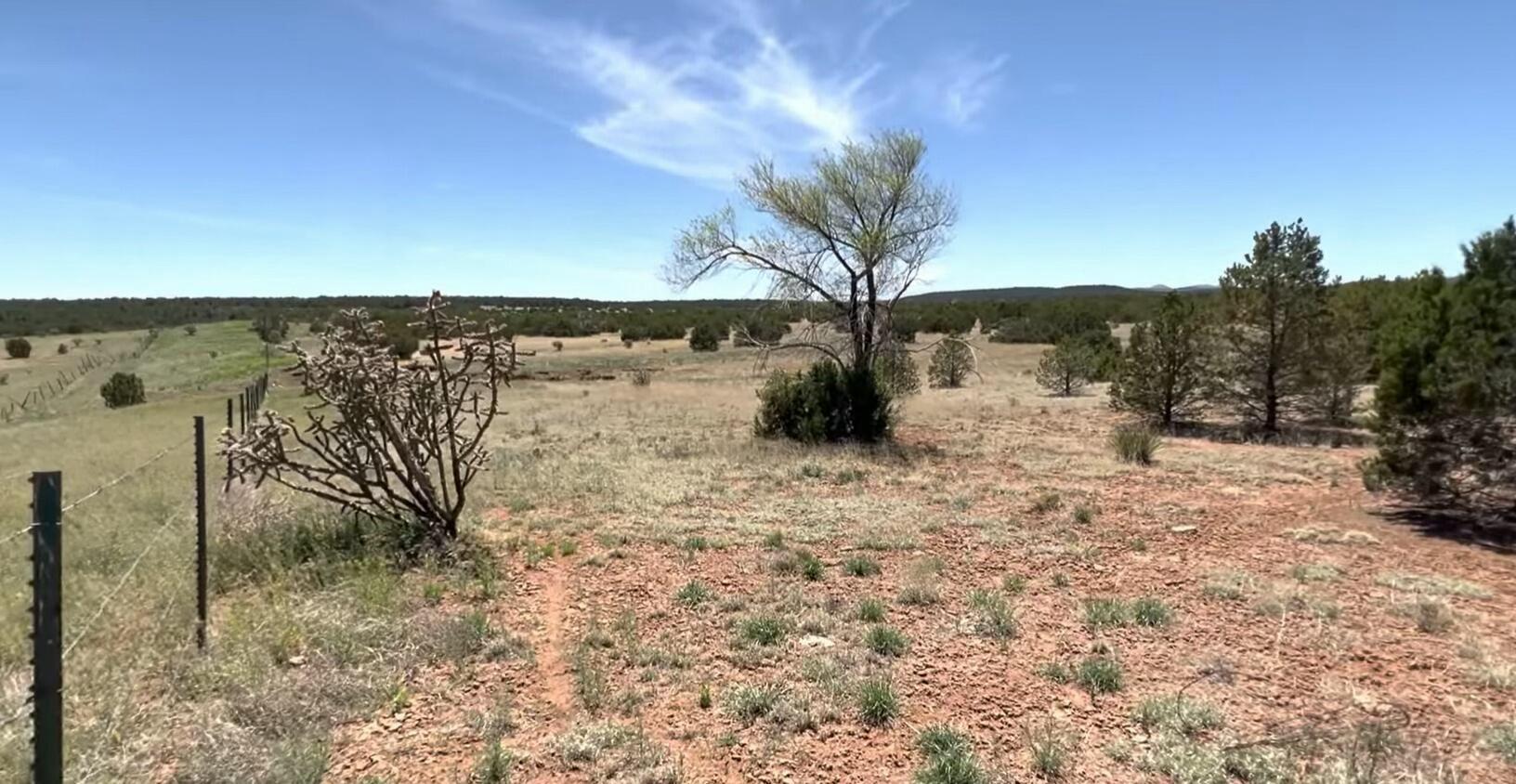 230 Mora Road, Tijeras, New Mexico image 10