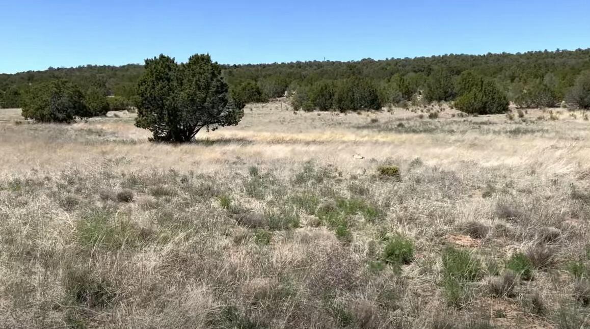 230 Mora Road, Tijeras, New Mexico image 11