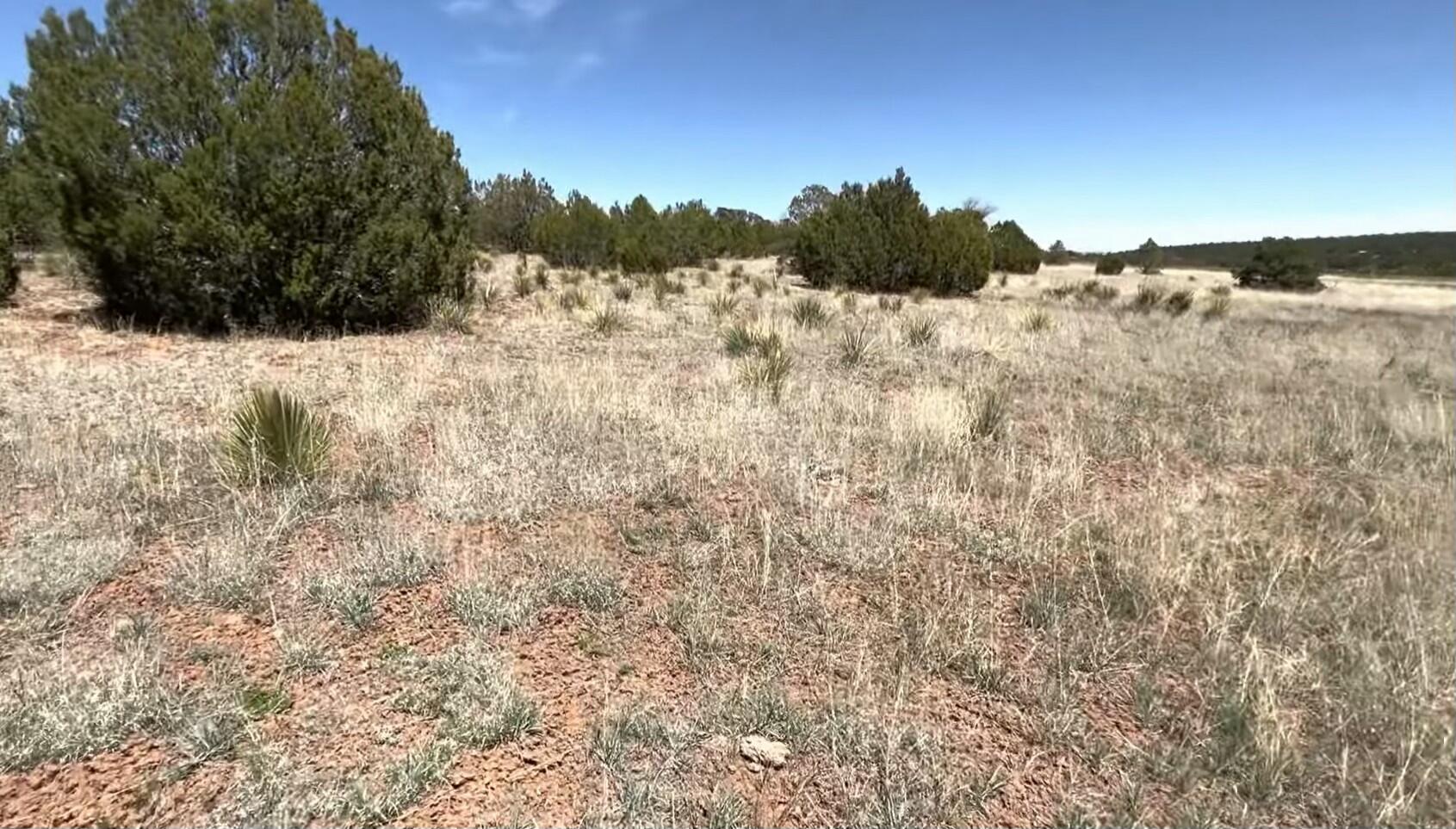 230 Mora Road, Tijeras, New Mexico image 7